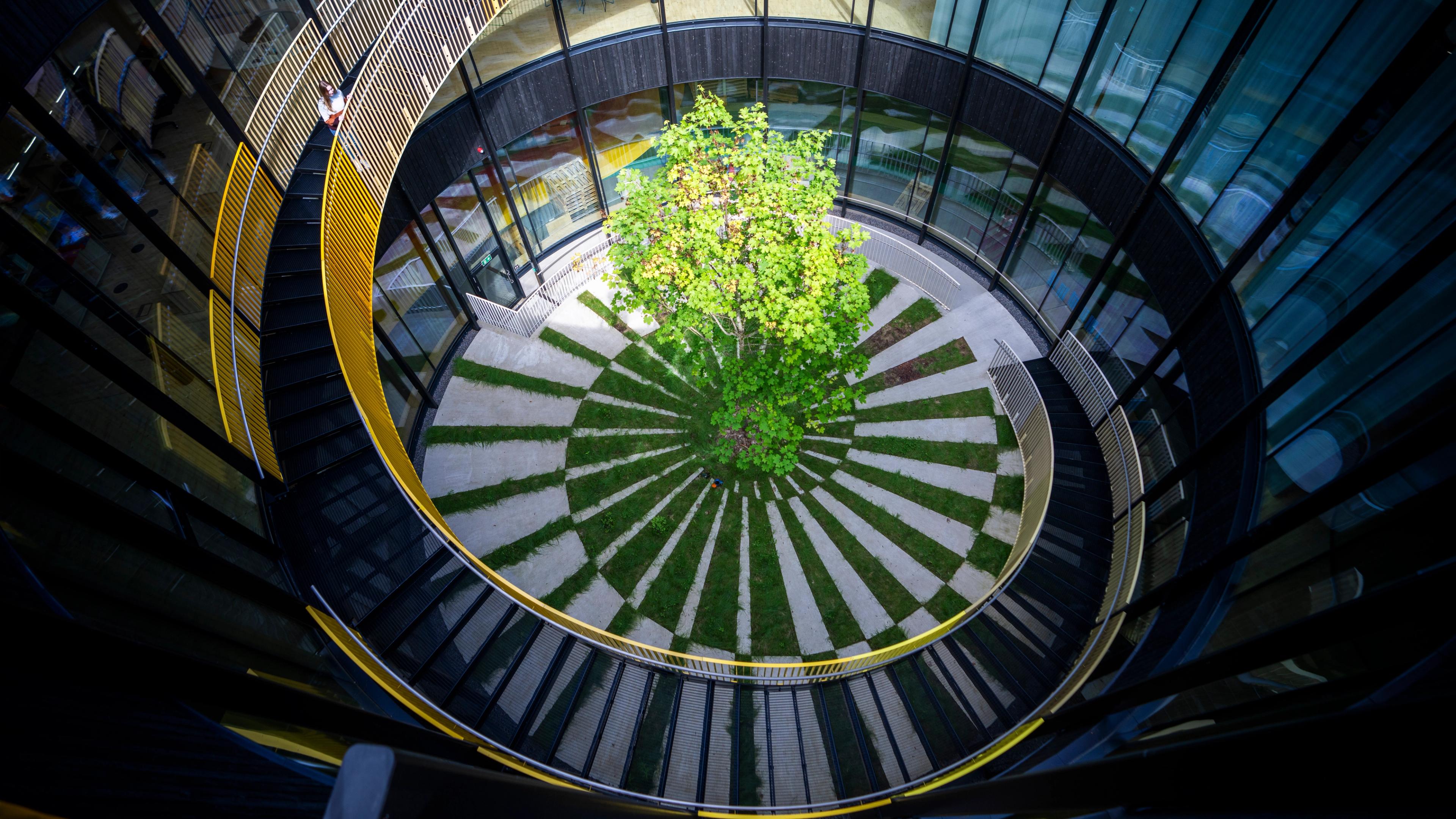 The courtyard below the roof at the furniture factory The Plus