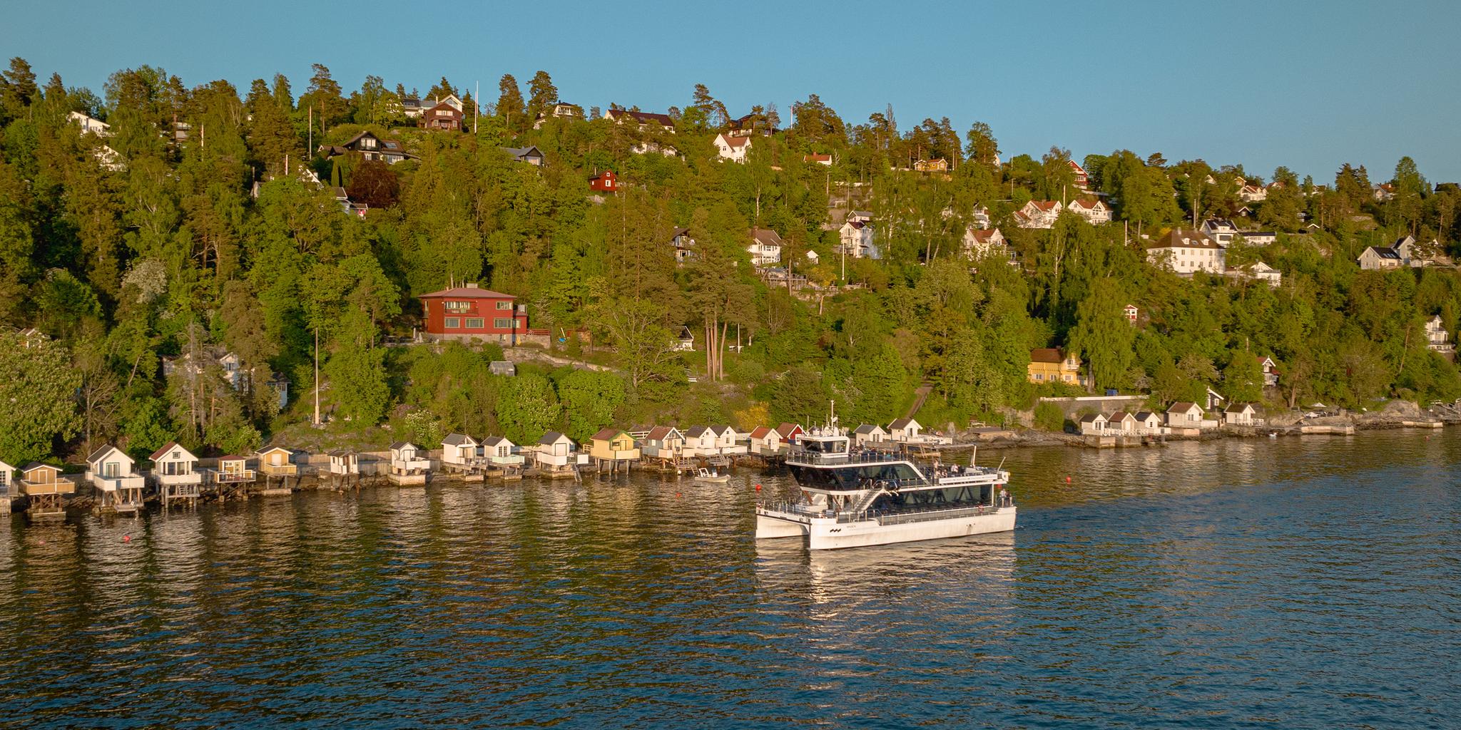 Silent Oslo Fjord Cruise