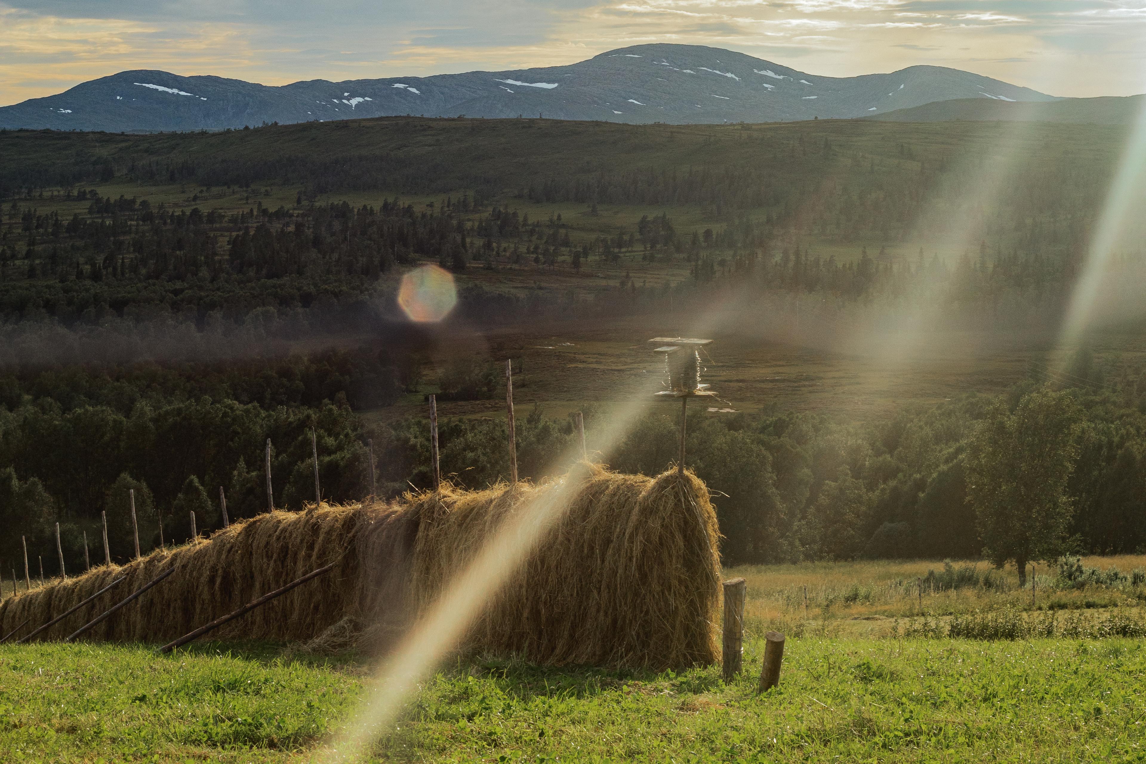 Straw racks in Trøndelag