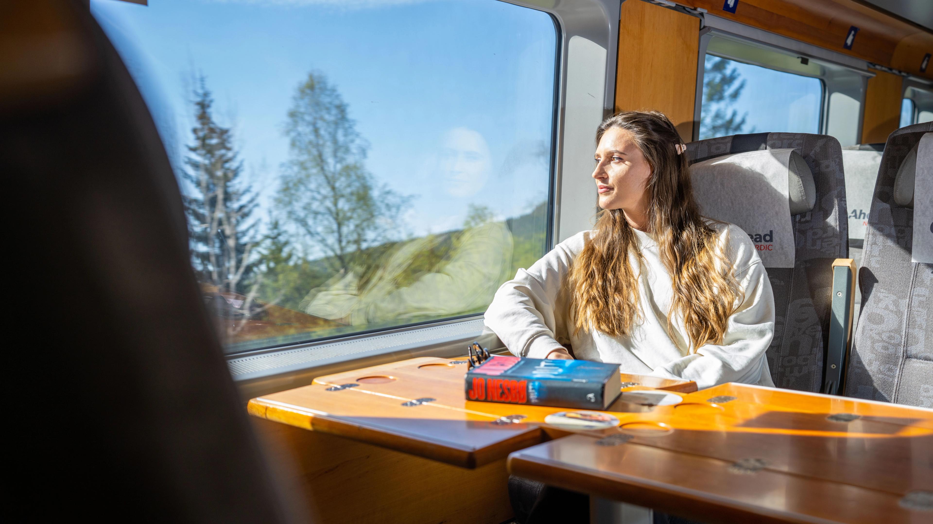 A woman riding the Sørland Line train from Oslo to Stavanger, Norway