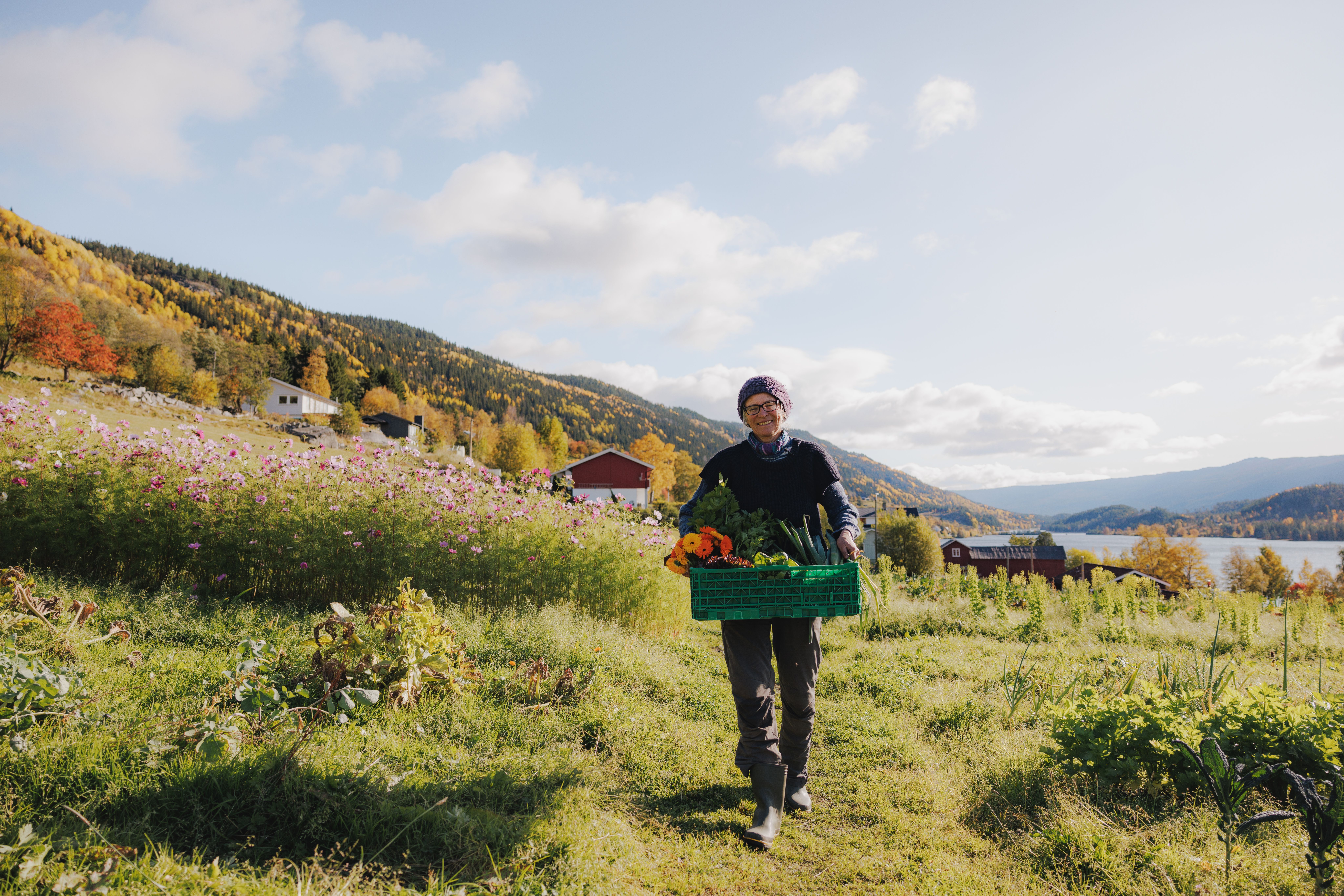 Farmer carrying produce at Nerol farm in Hallingdal