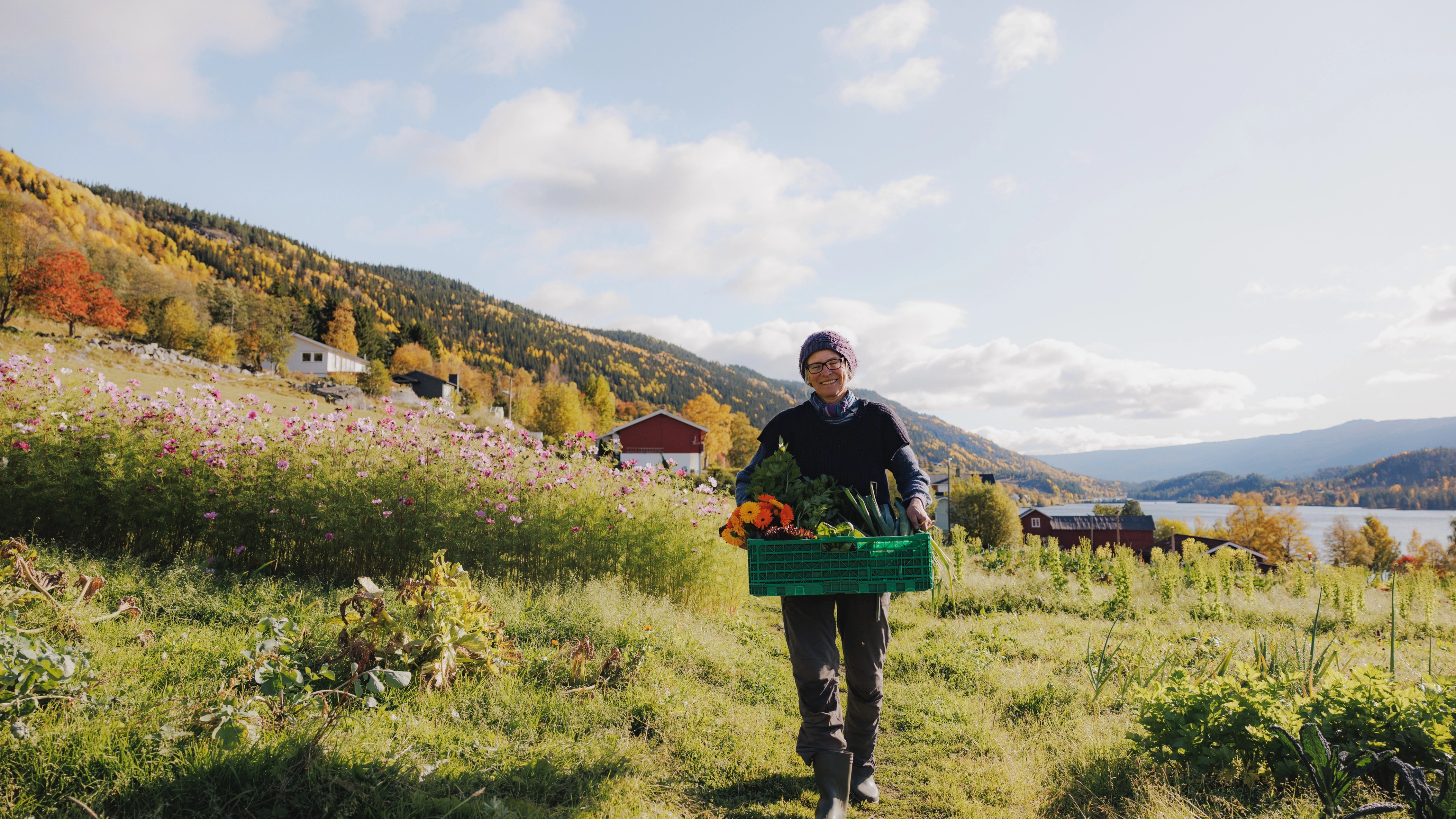 Grønnsaker fra Nerol Gard i Hallingdal