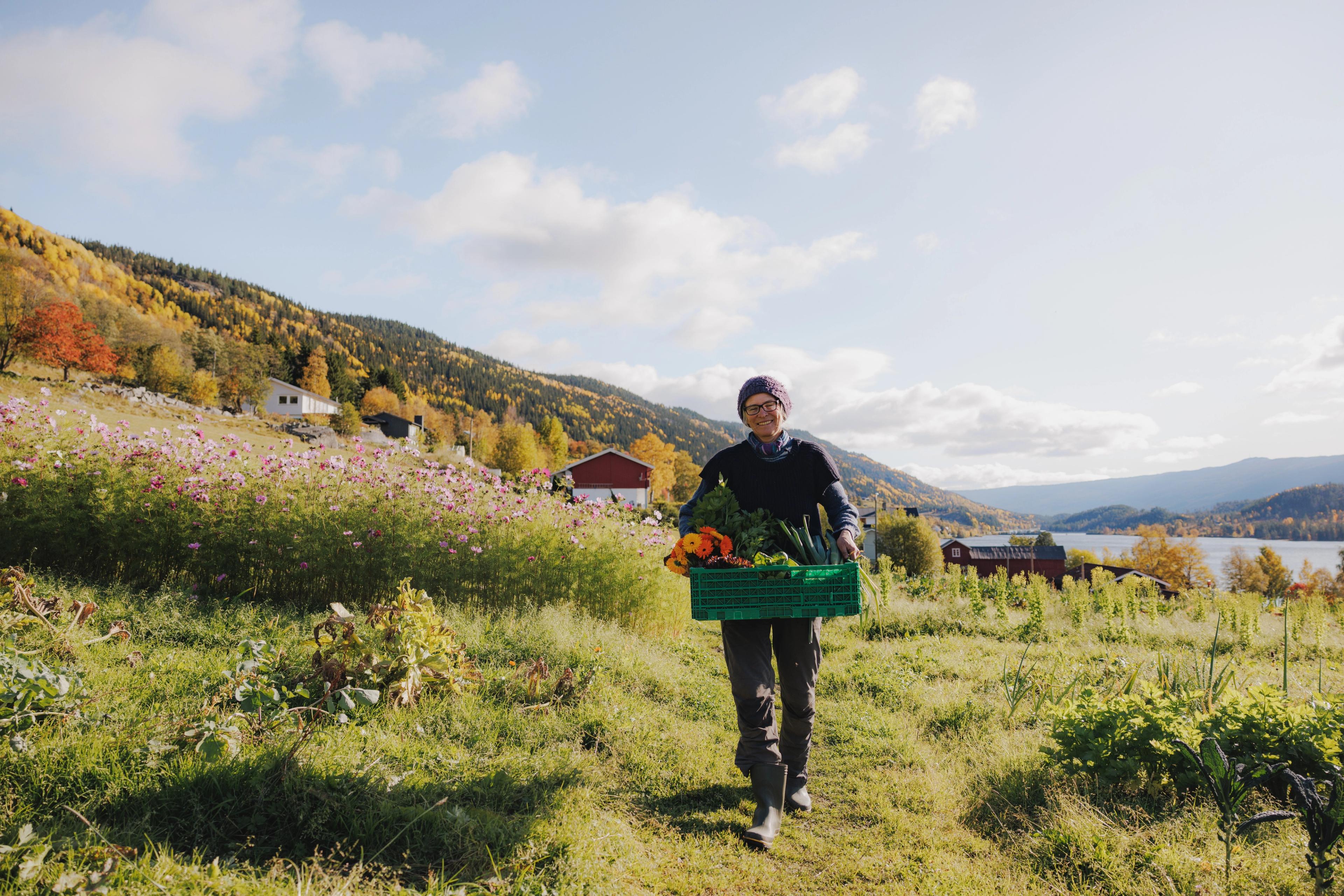 Farmer carrying produce at Nerol farm in Hallingdal