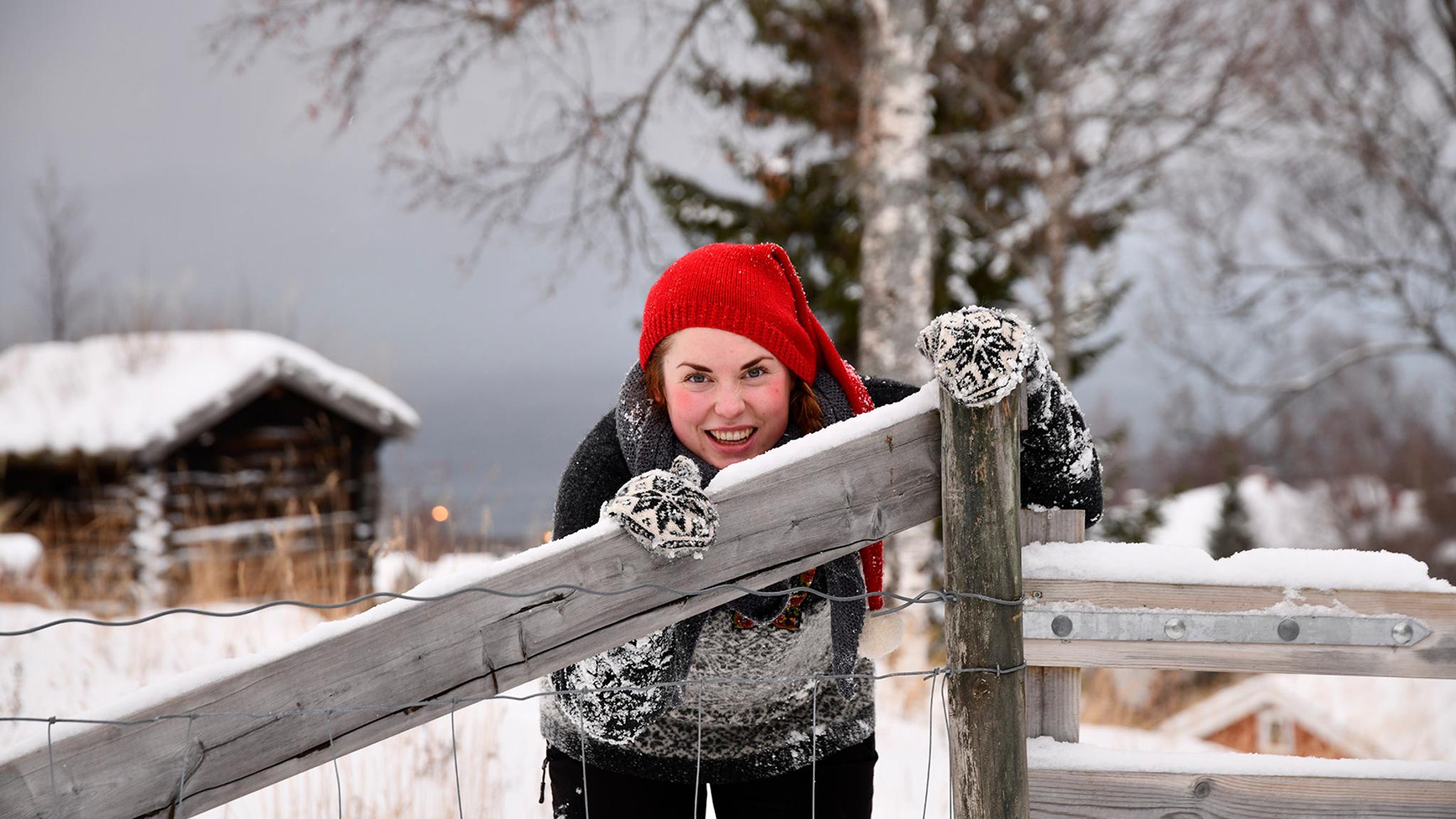 A santa at the open-air museum Sverresborg in Christmas, Trondheim, Trøndelag, Norway.