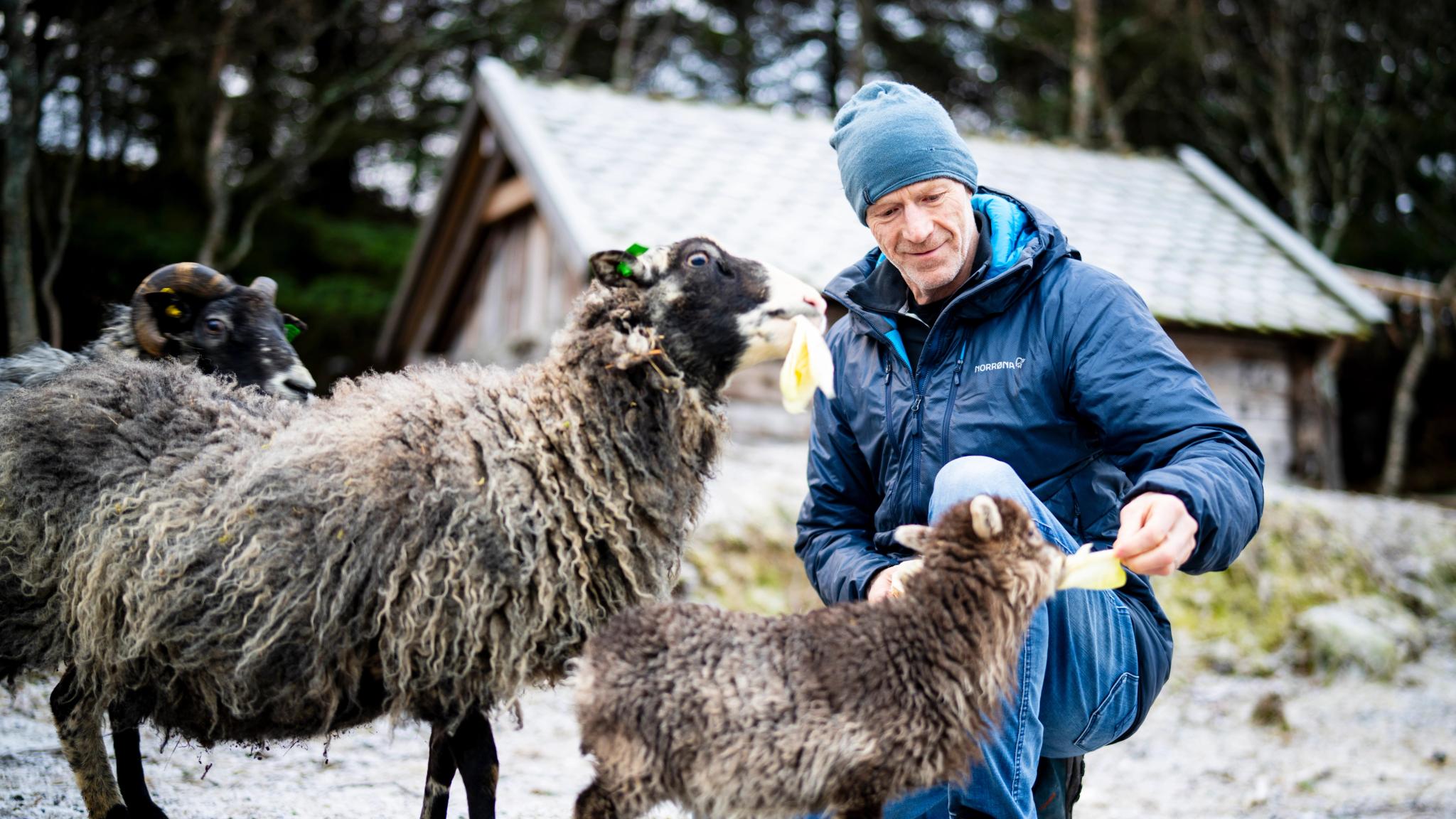 Børge Ousland, a man with a sheep
