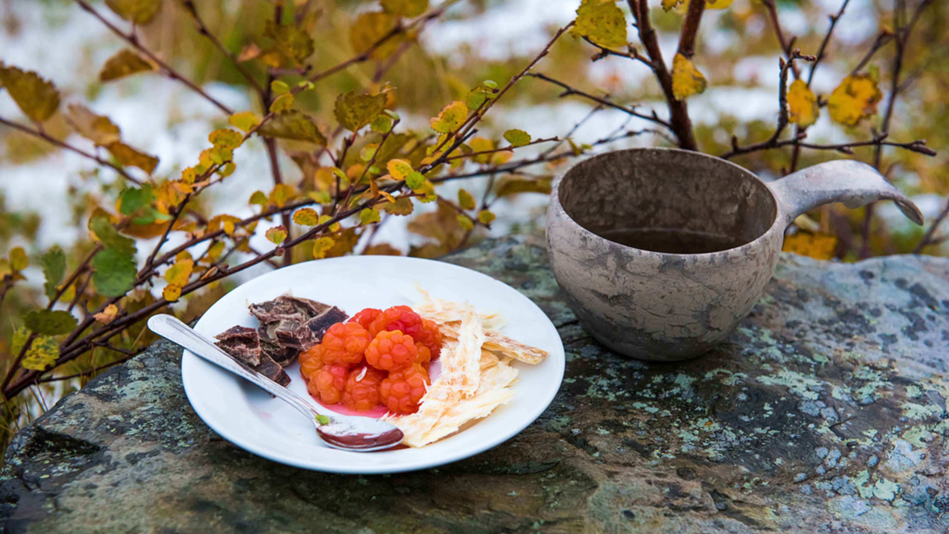 Cloudberries on a rock