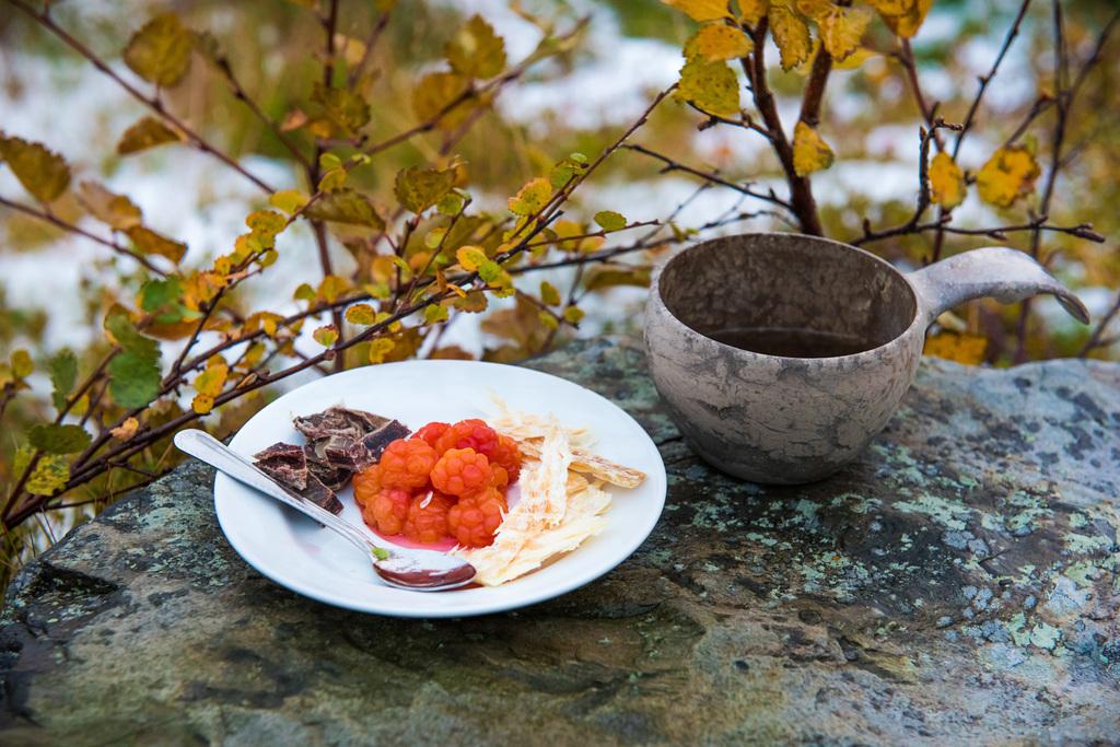 Cloudberries on a rock