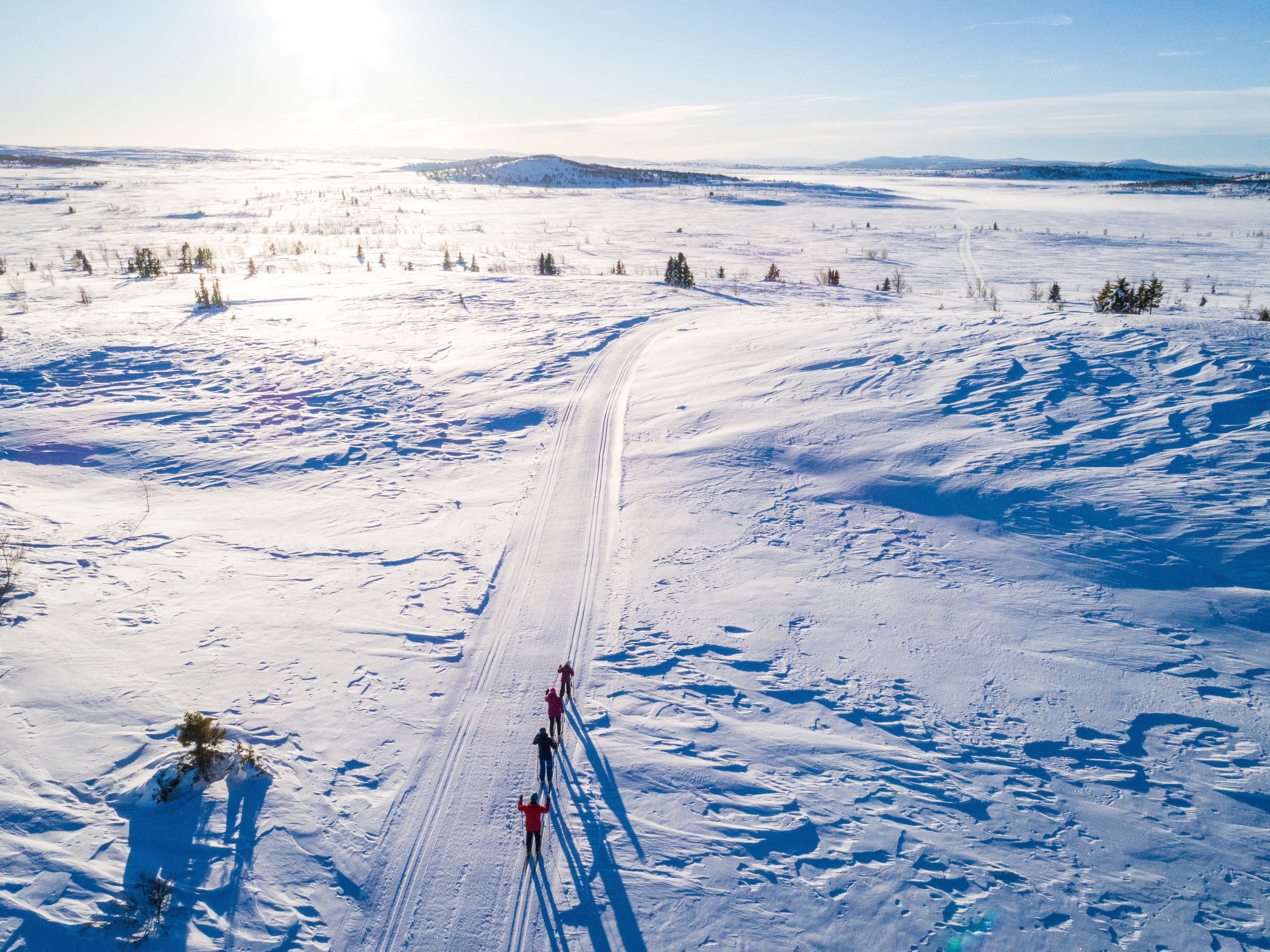Cross-country skiers in the mountains of Valdres, Eastern Norway
