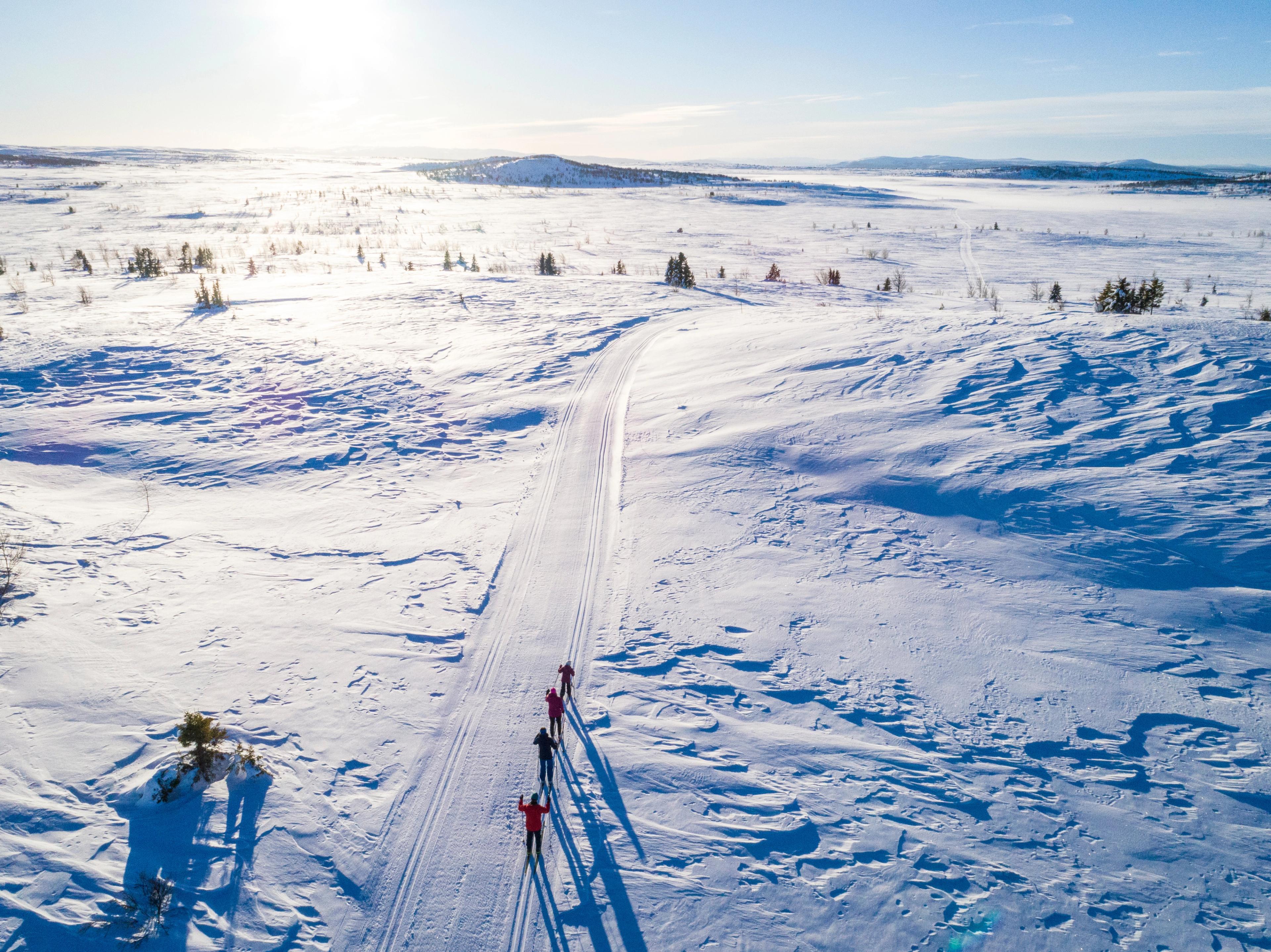 Cross-country skiers in the mountains of Valdres, Eastern Norway