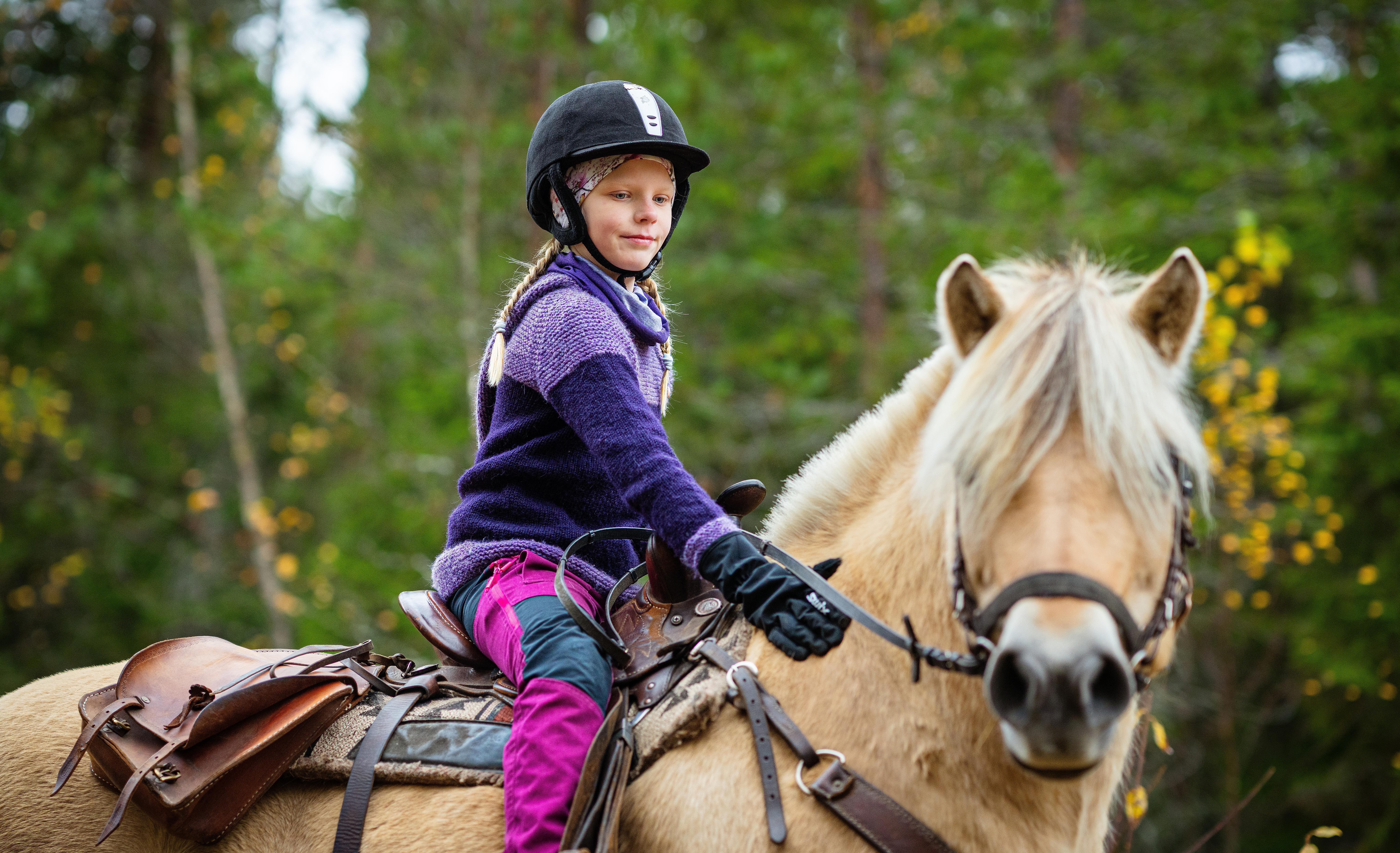 A girl riding a Norwegian fjord horse.