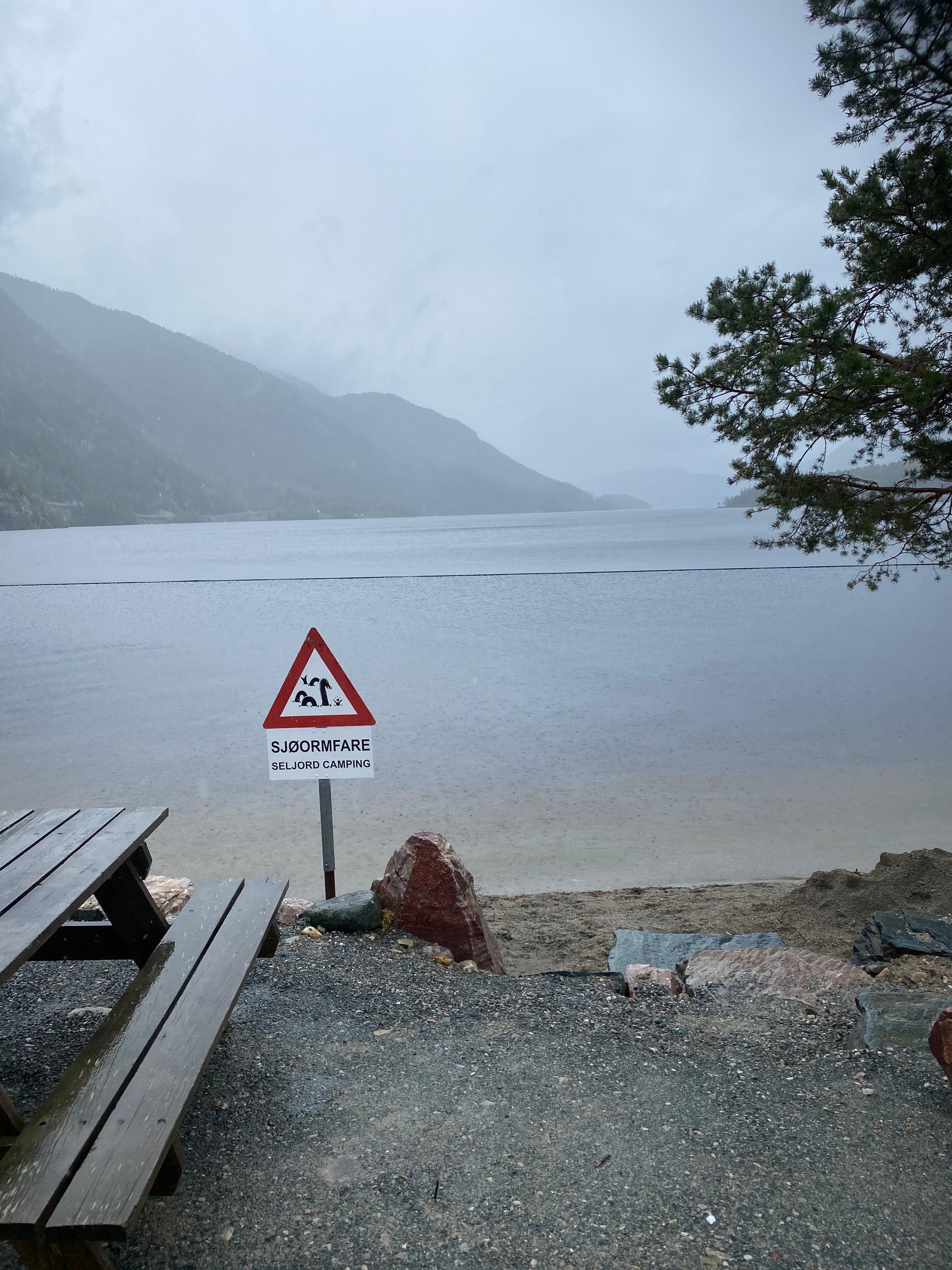 Seljordsormen in Seljord