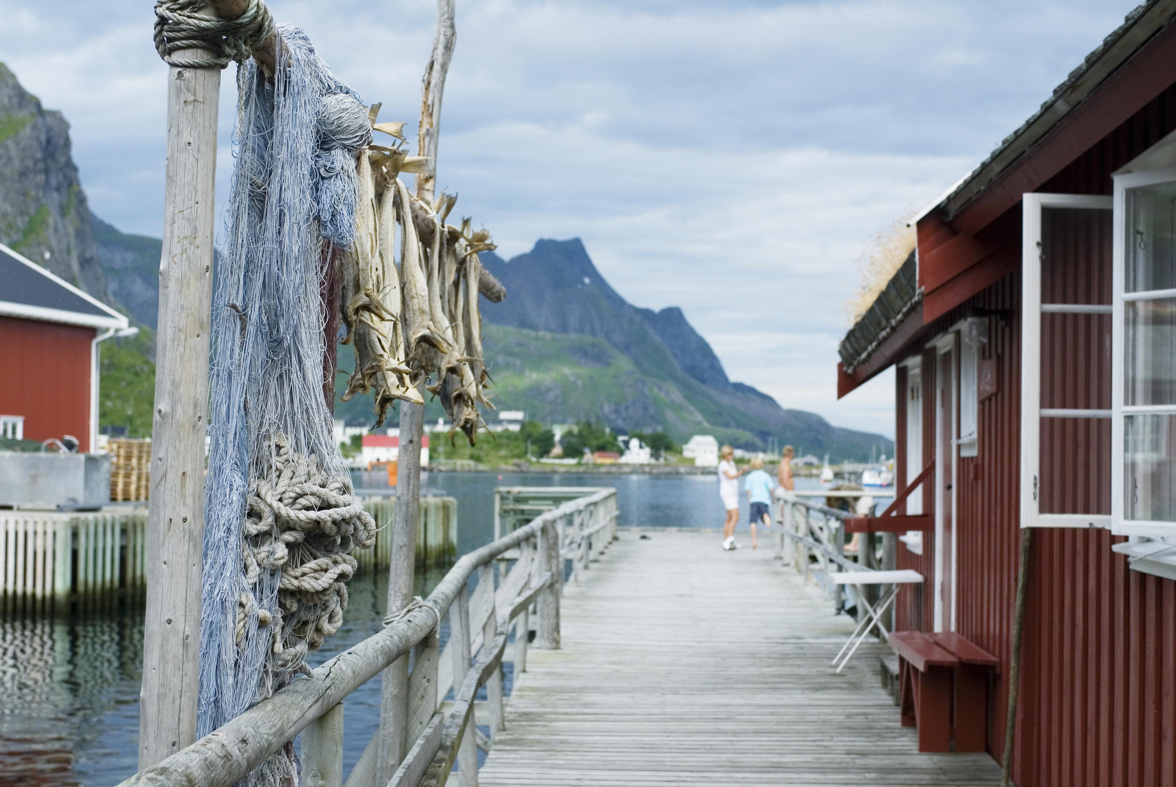 Norwegian Coast, Lofoten and Tromso