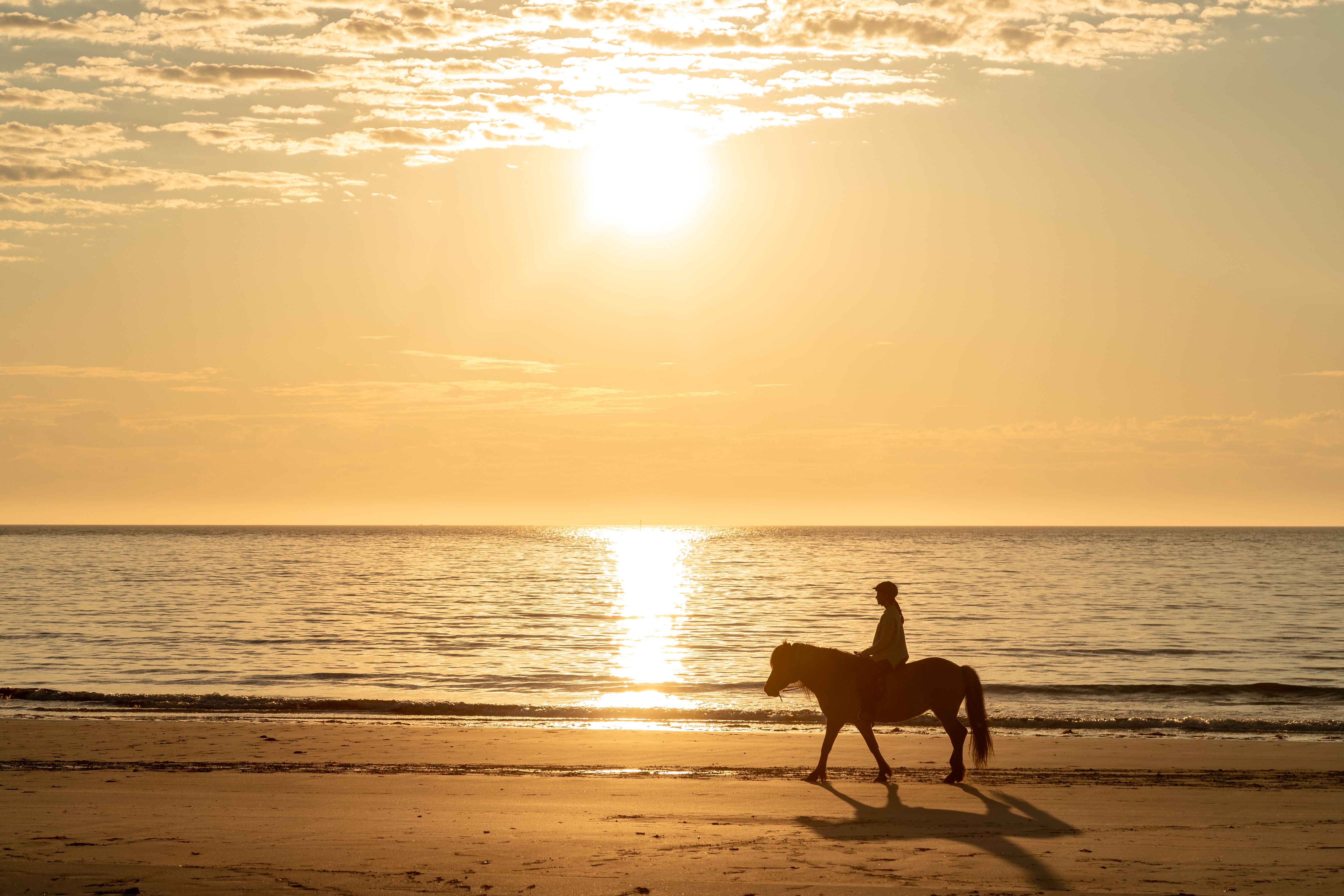 Person horseback riding on a beach under the midnight sun in Lofoten, Northern Norway