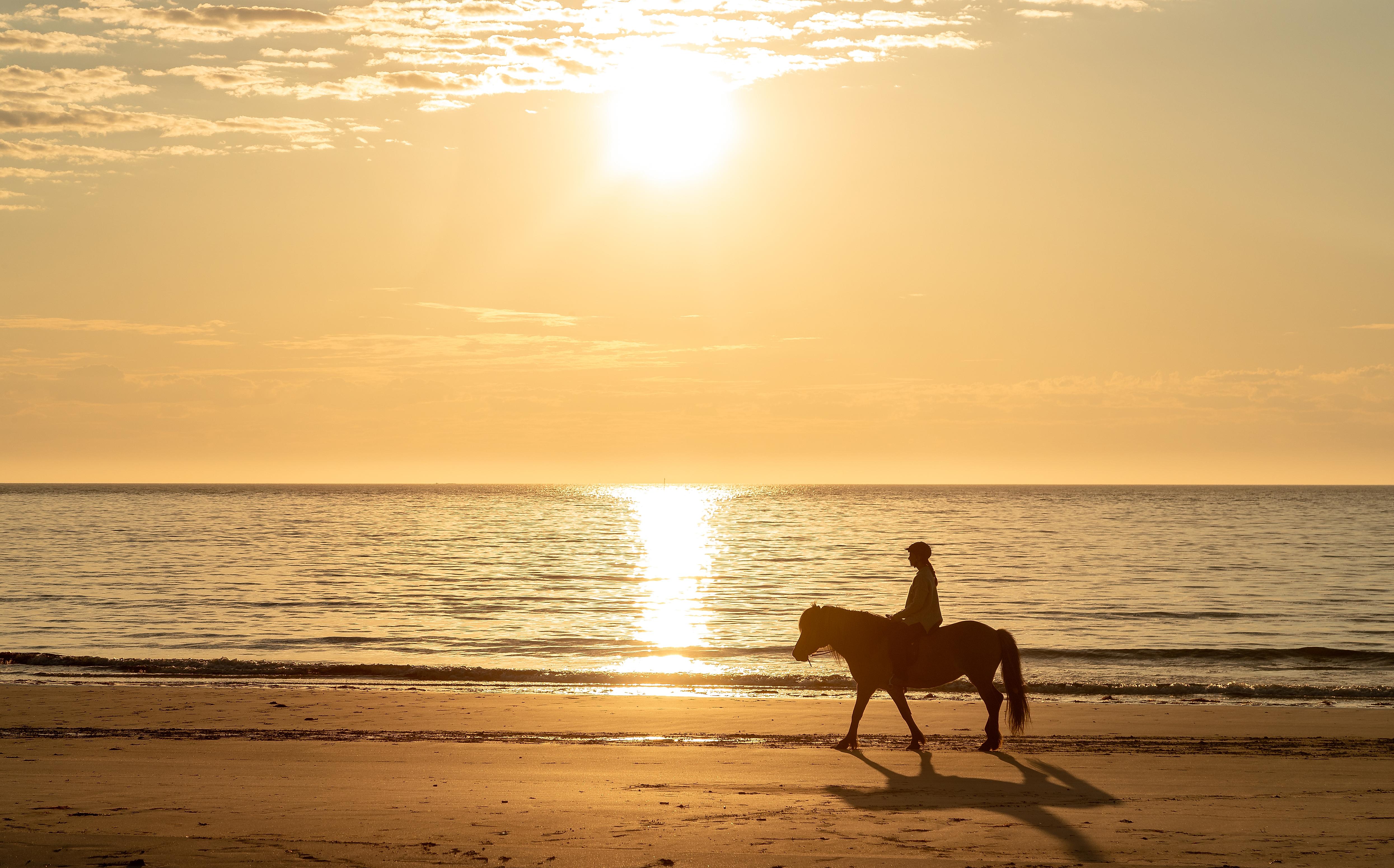 Person horseback riding on a beach under the midnight sun in Lofoten, Northern Norway