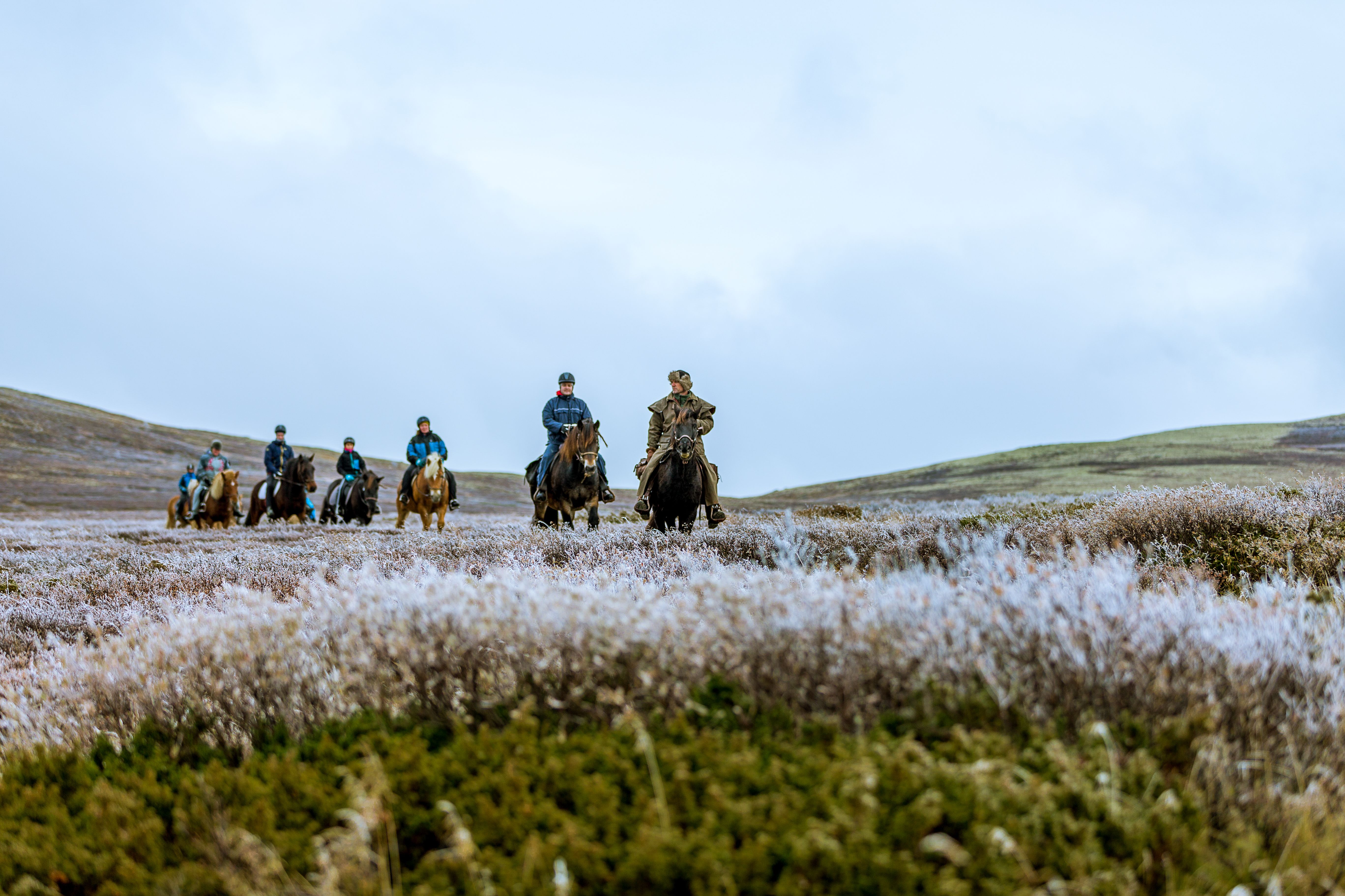A group of people horseback riding in the Jotunheimen in Eastern Norway