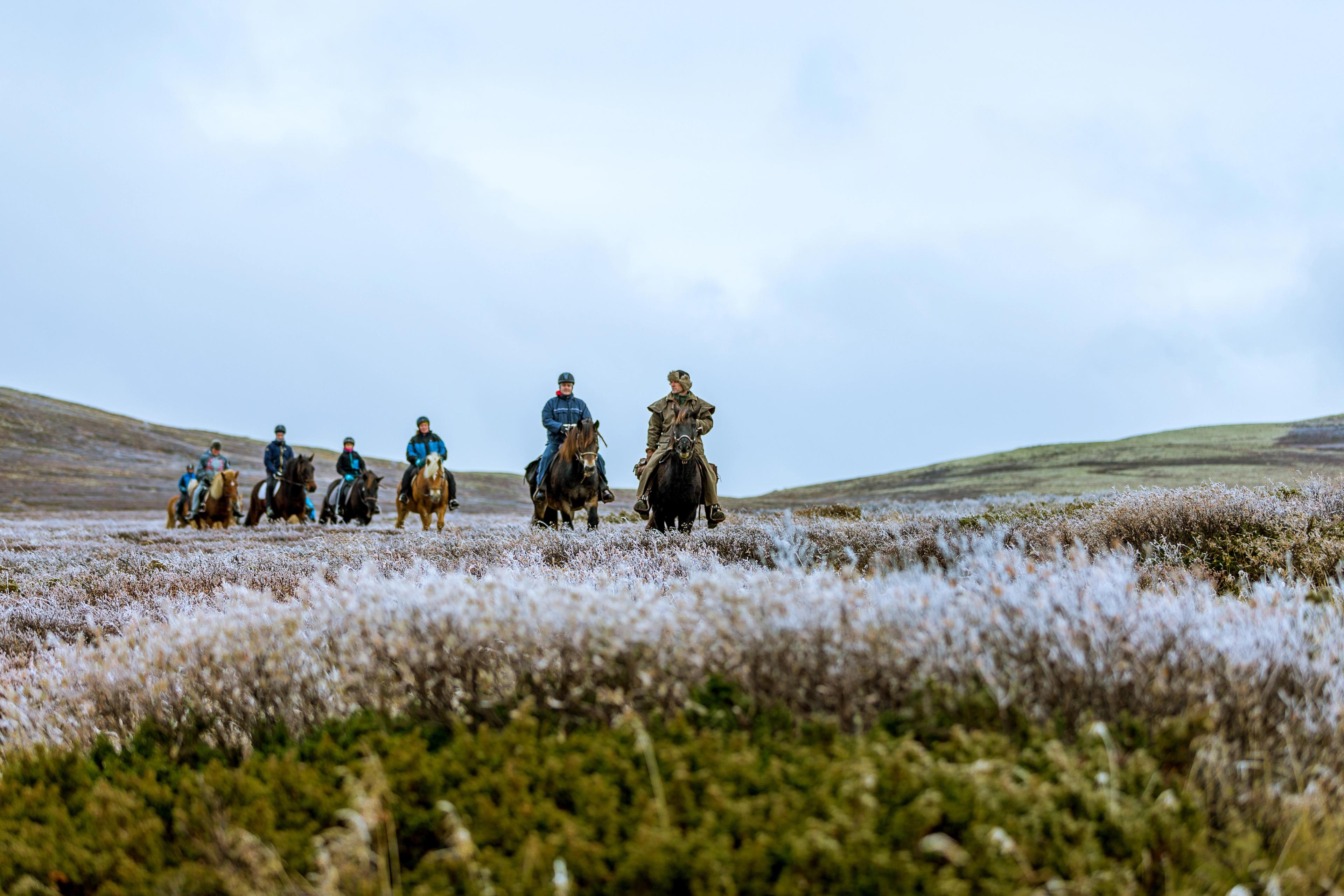 A group of people horseback riding in the Jotunheimen in Eastern Norway