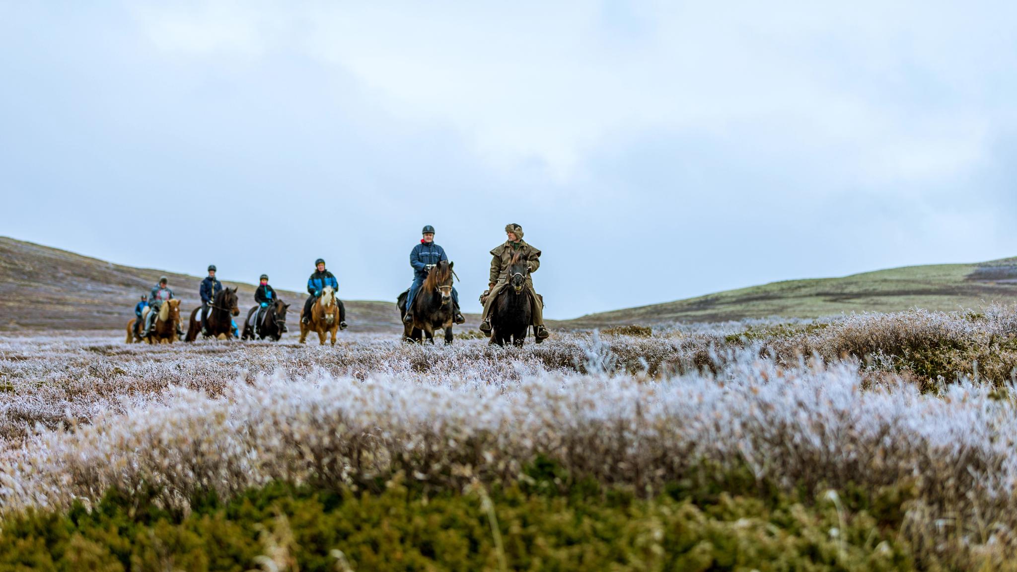 A group of people horseback riding in the Jotunheimen in Eastern Norway