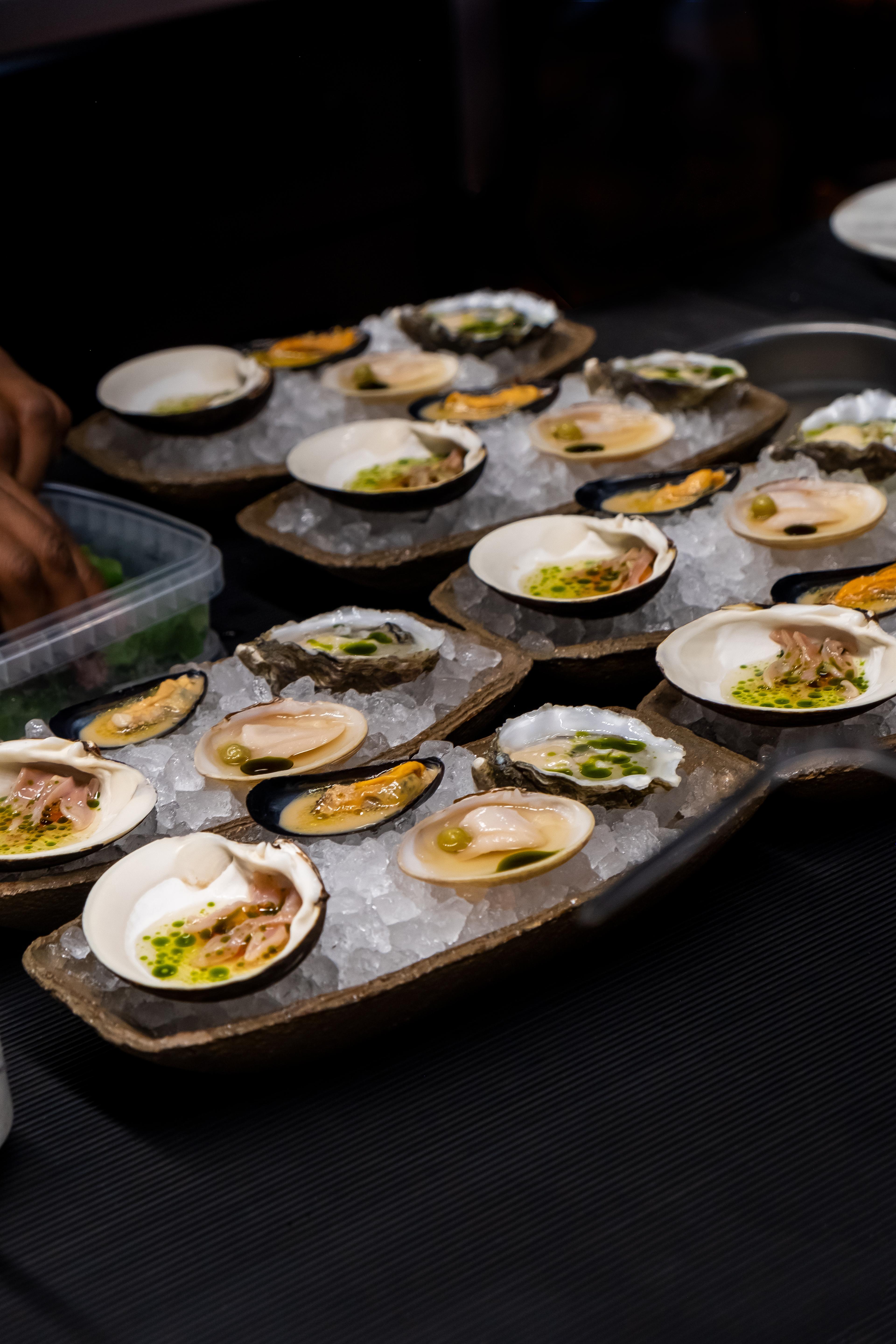 Sjømat i skjell på is.