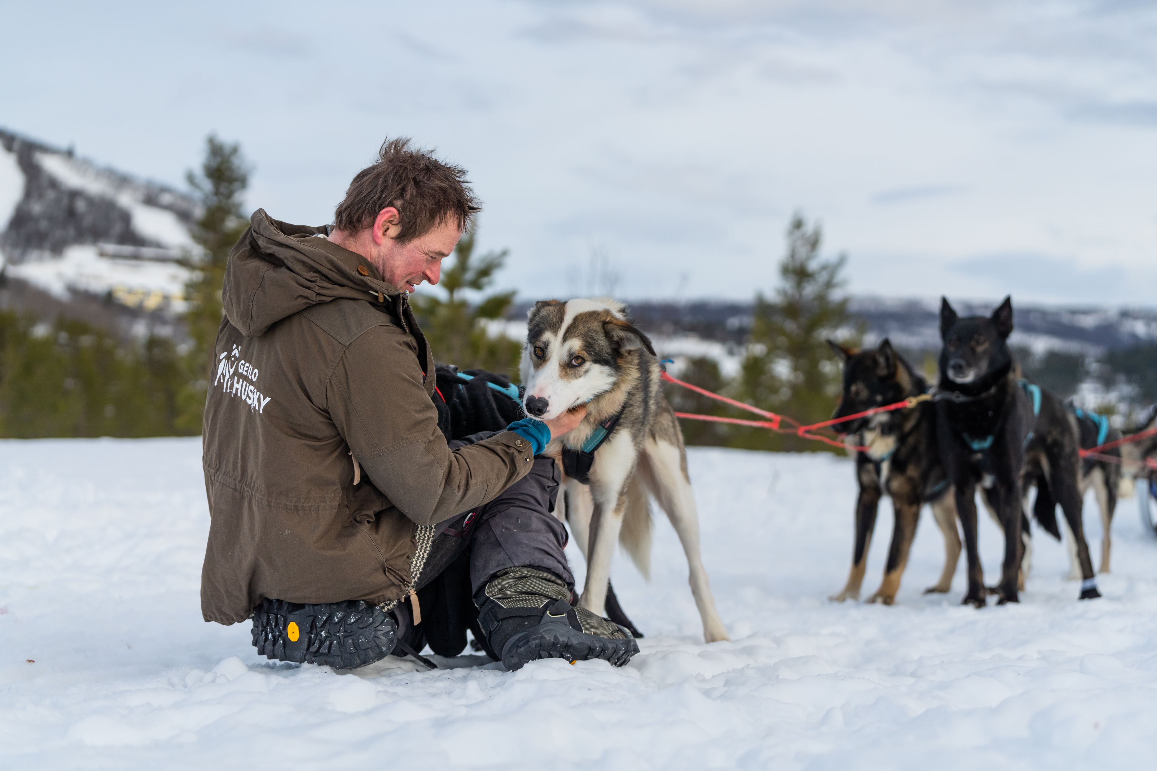 Mucher with his sled dogs at Geilo in winter.