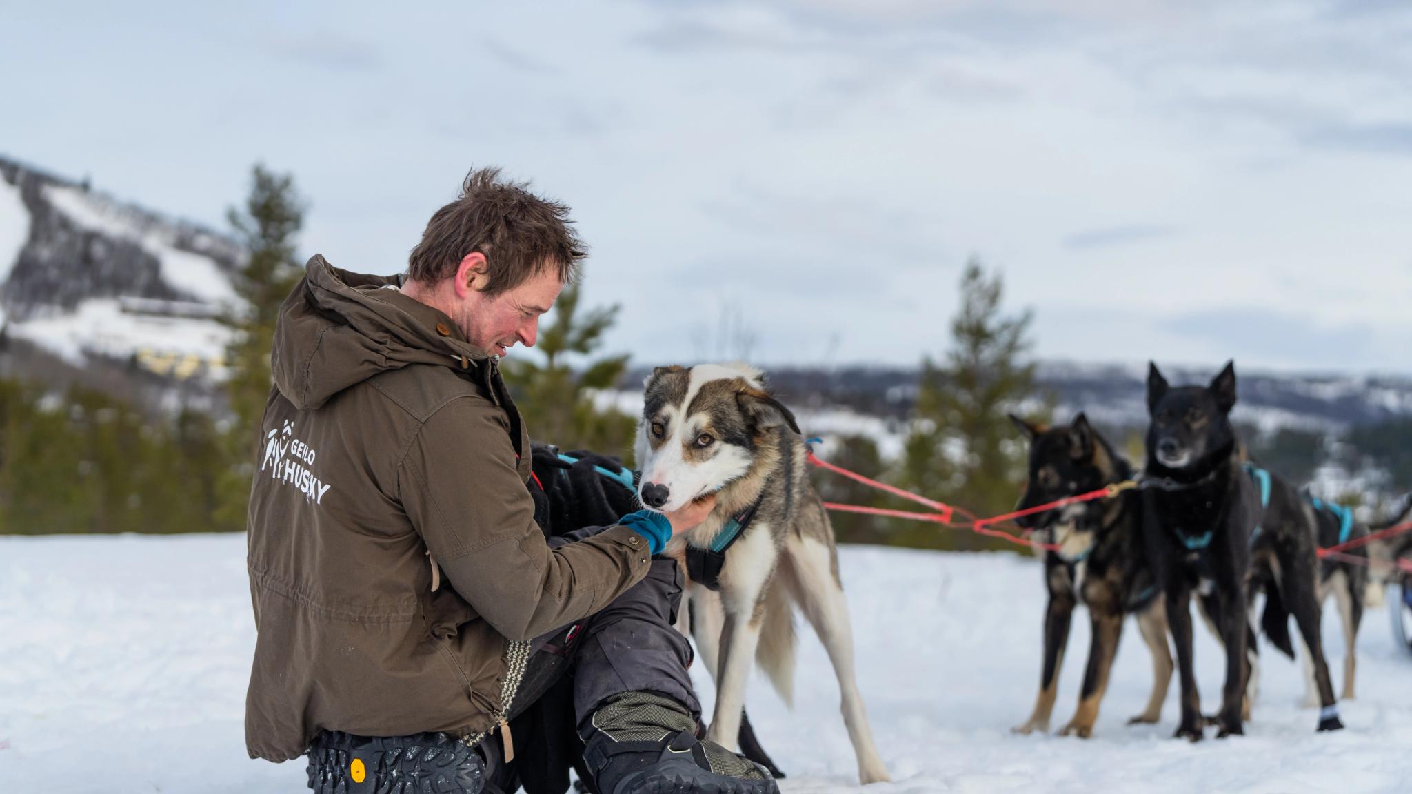 Mucher with his sled dogs at Geilo in winter.