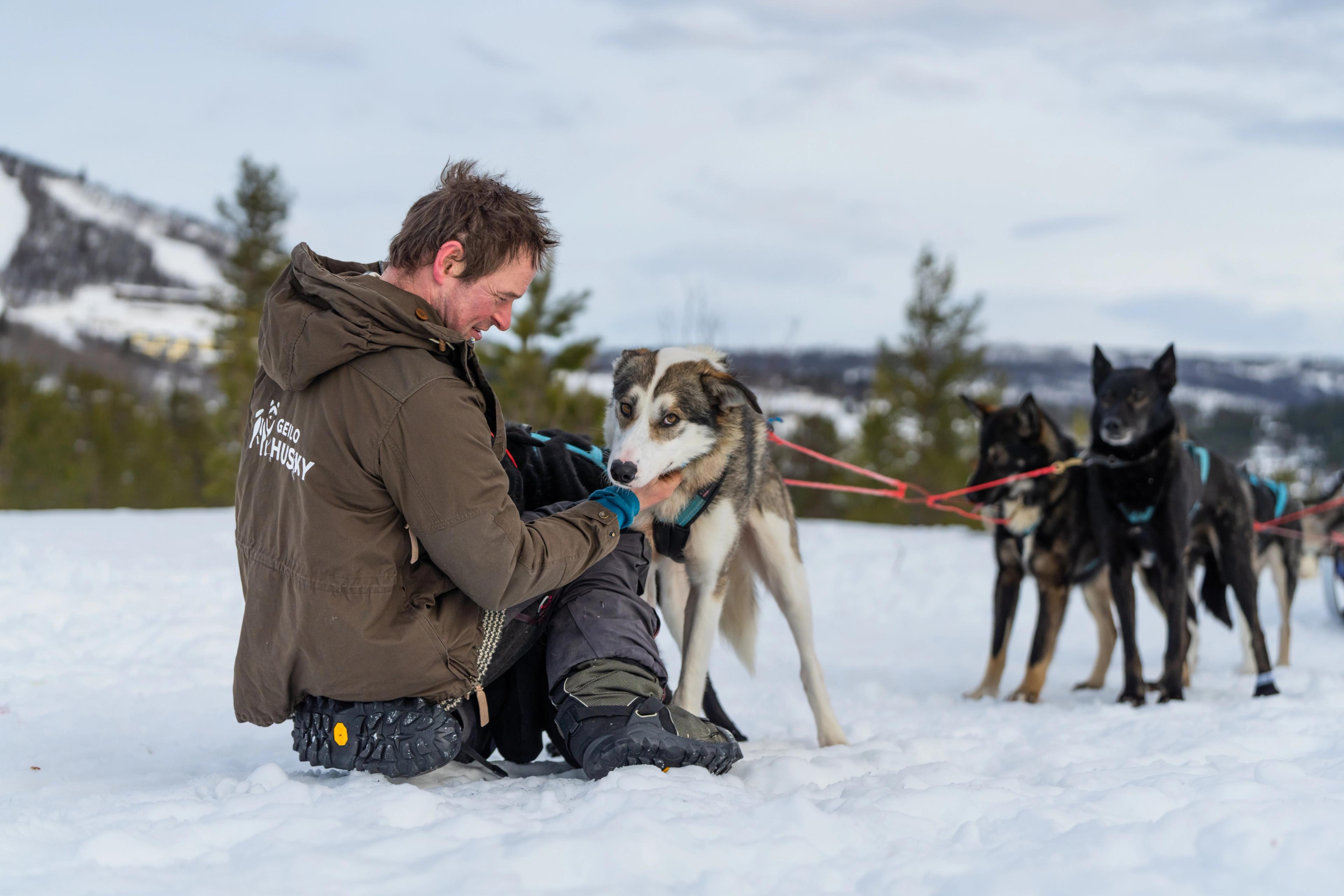 Mucher with his sled dogs at Geilo in winter.