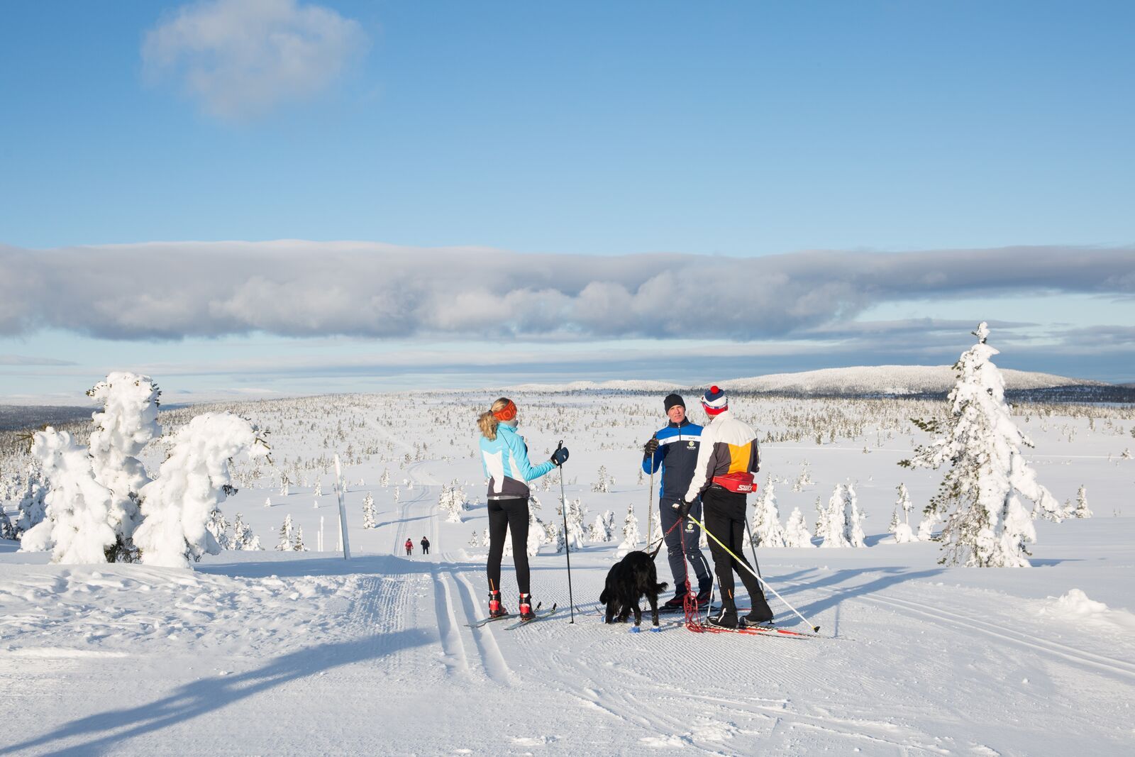 Three people skiing in Budor, Løten