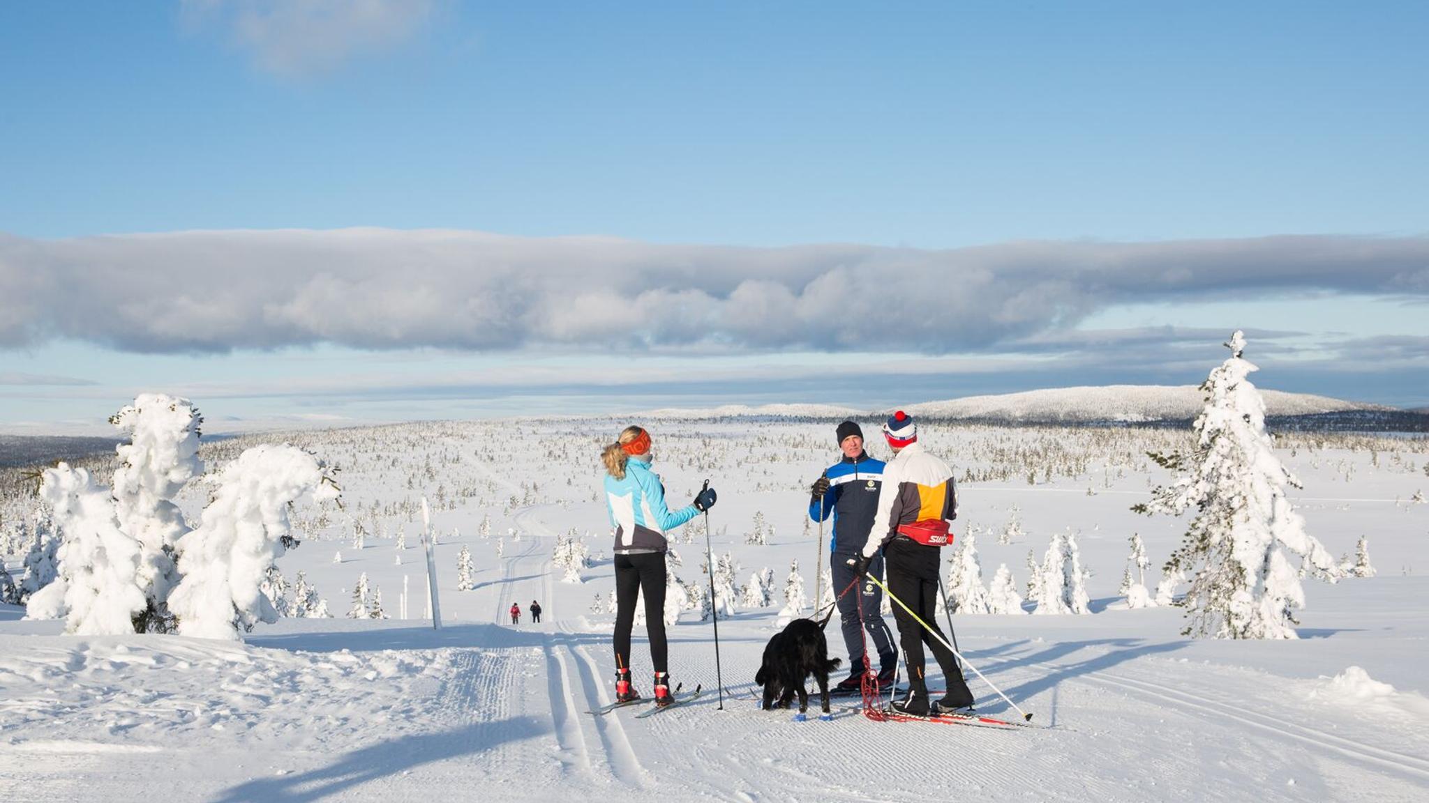 Three people skiing in Budor, Løten