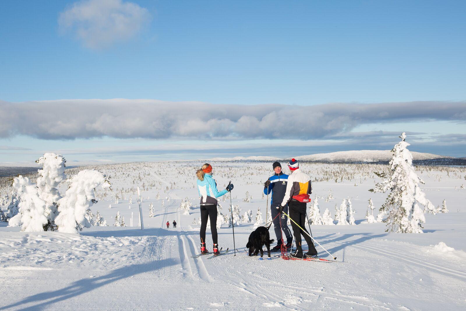 Three people skiing in Budor, Løten
