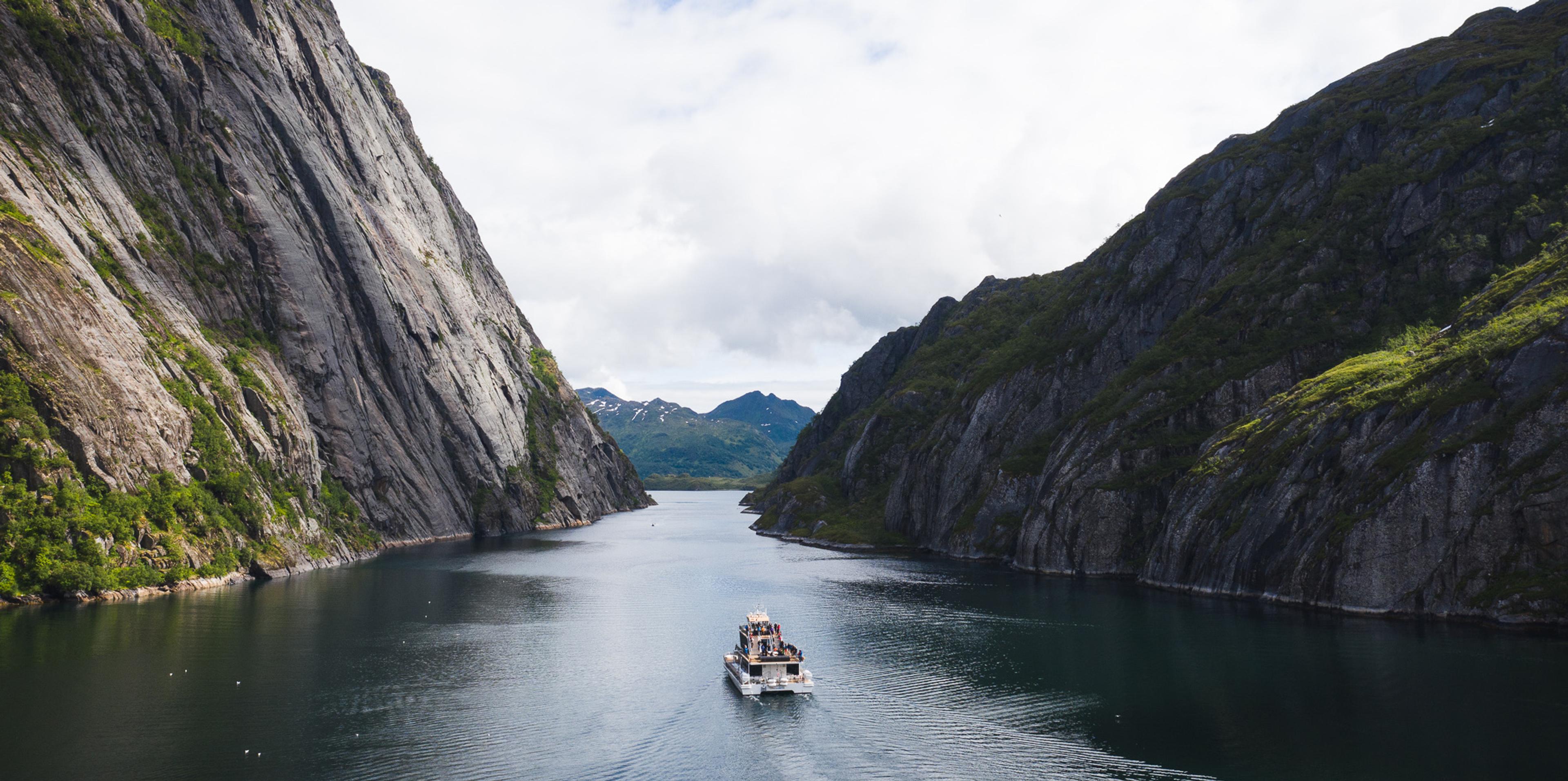 Silent Trollfjord Cruise by Brim Explorer