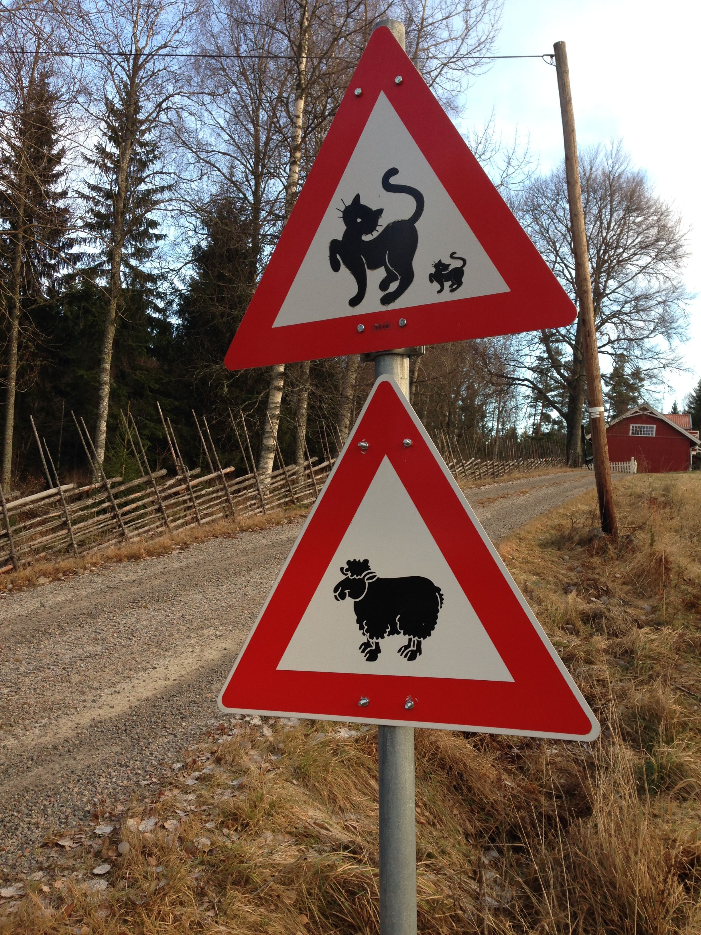 Cat and sheep sign