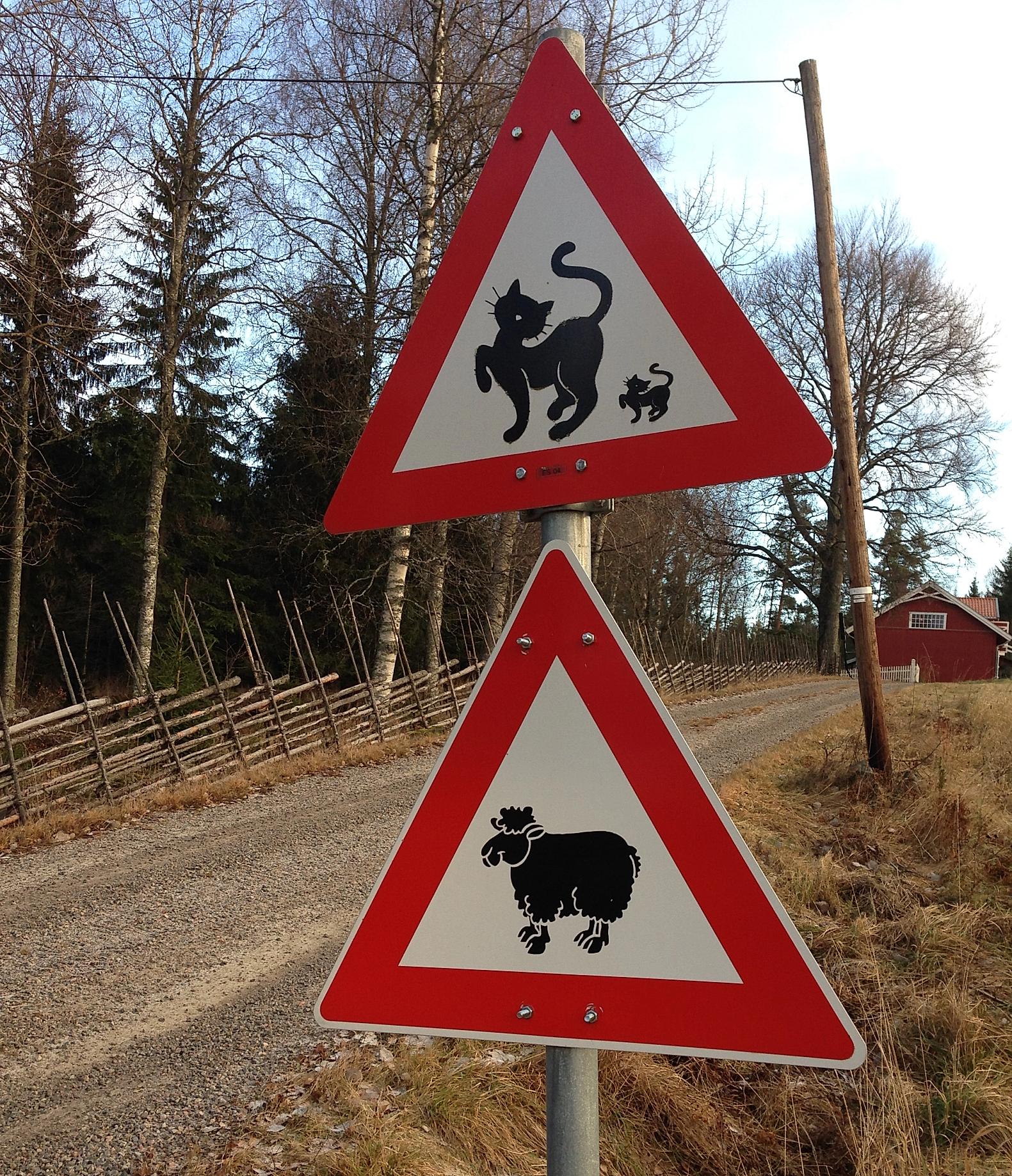 Cat and sheep sign