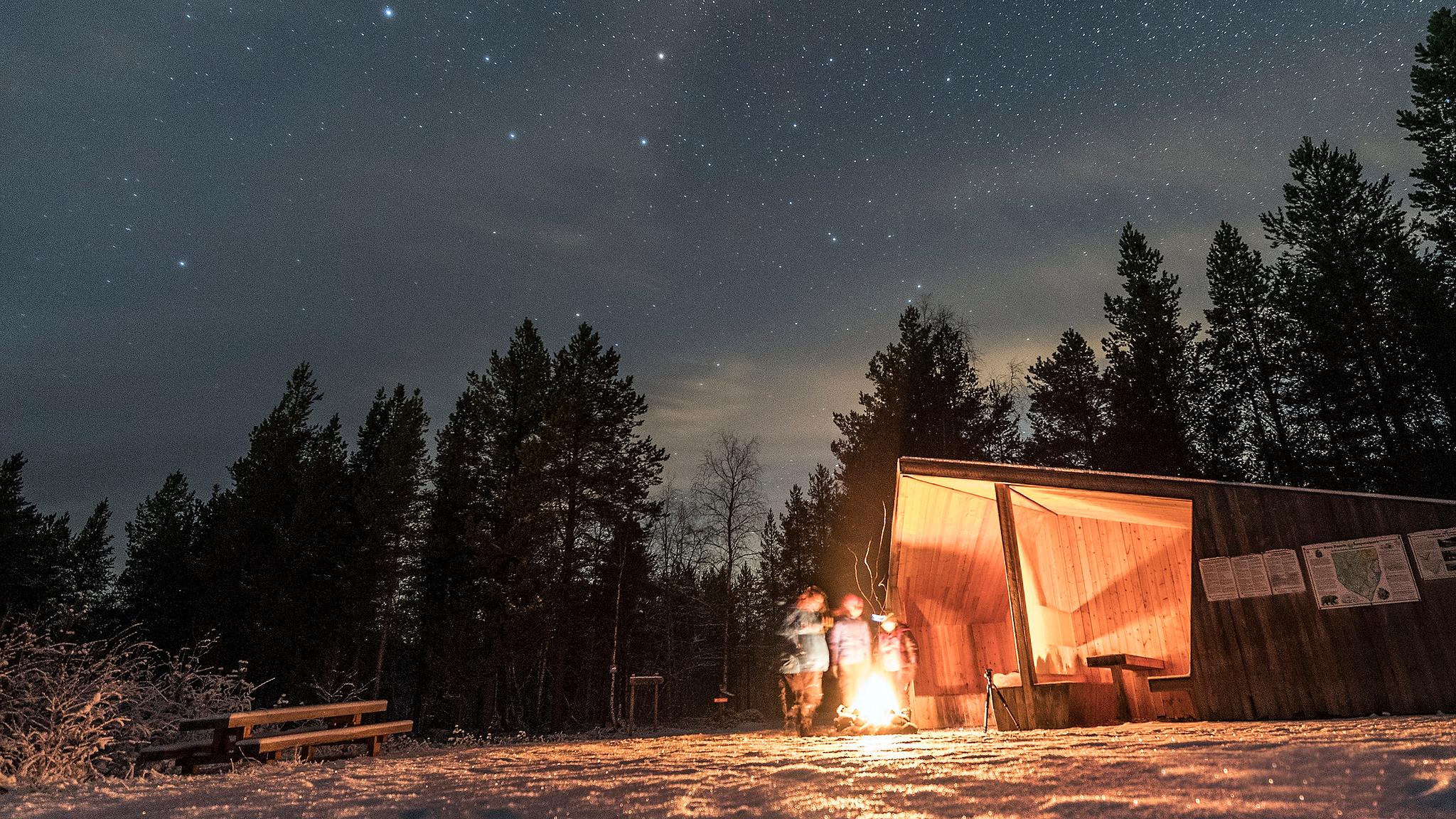 People stargazing around a fire at Øvre Pasvik National Park
