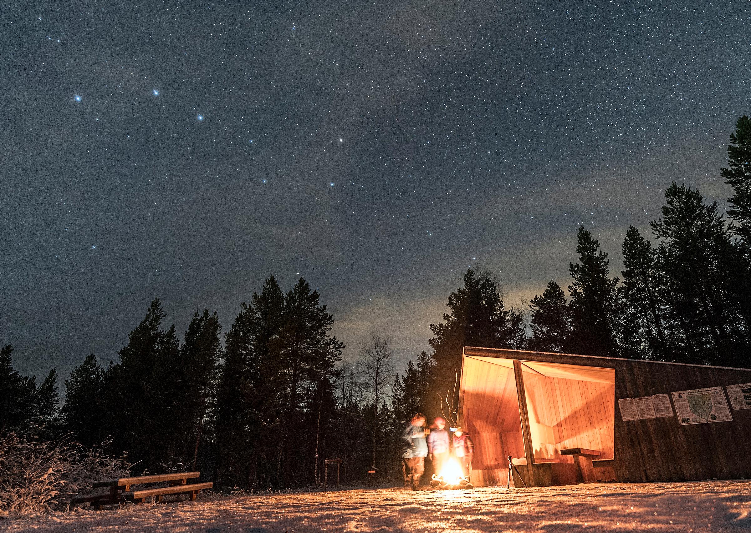 People stargazing around a fire at Øvre Pasvik National Park