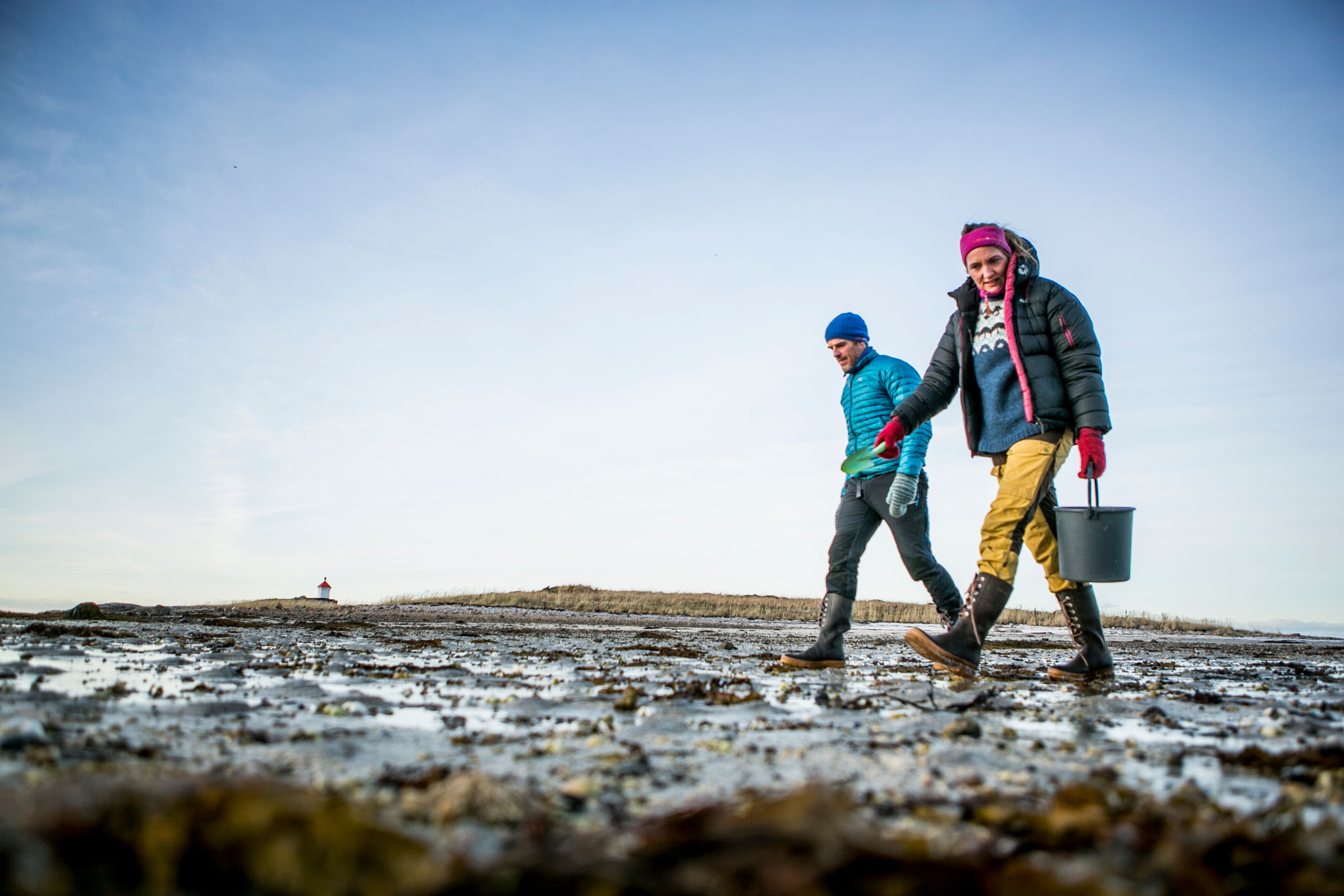 A couple picking cockles on the beach