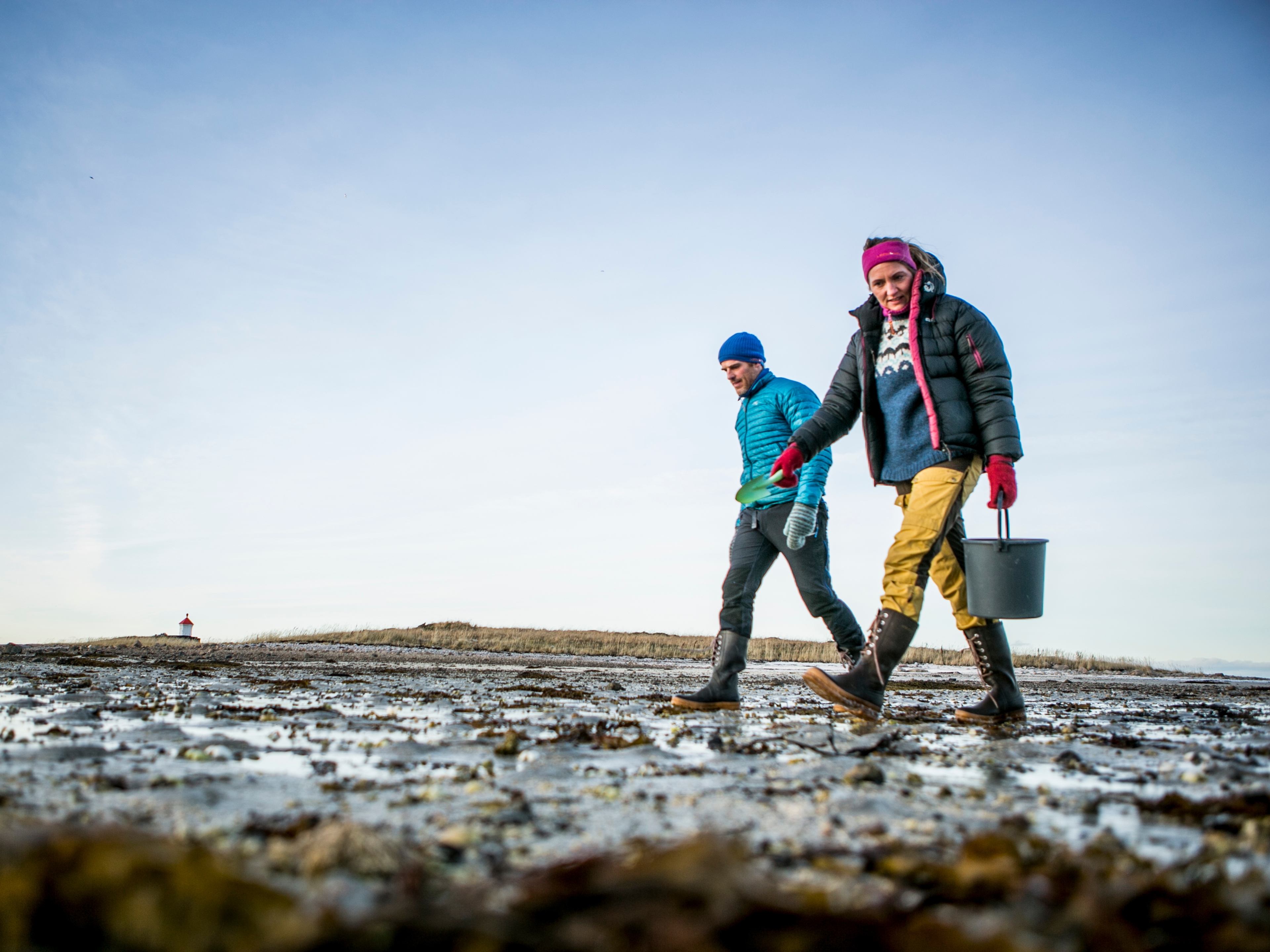A couple picking cockles on the beach