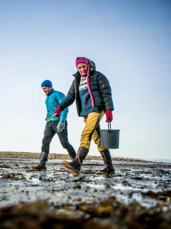 A couple picking cockles on the beach