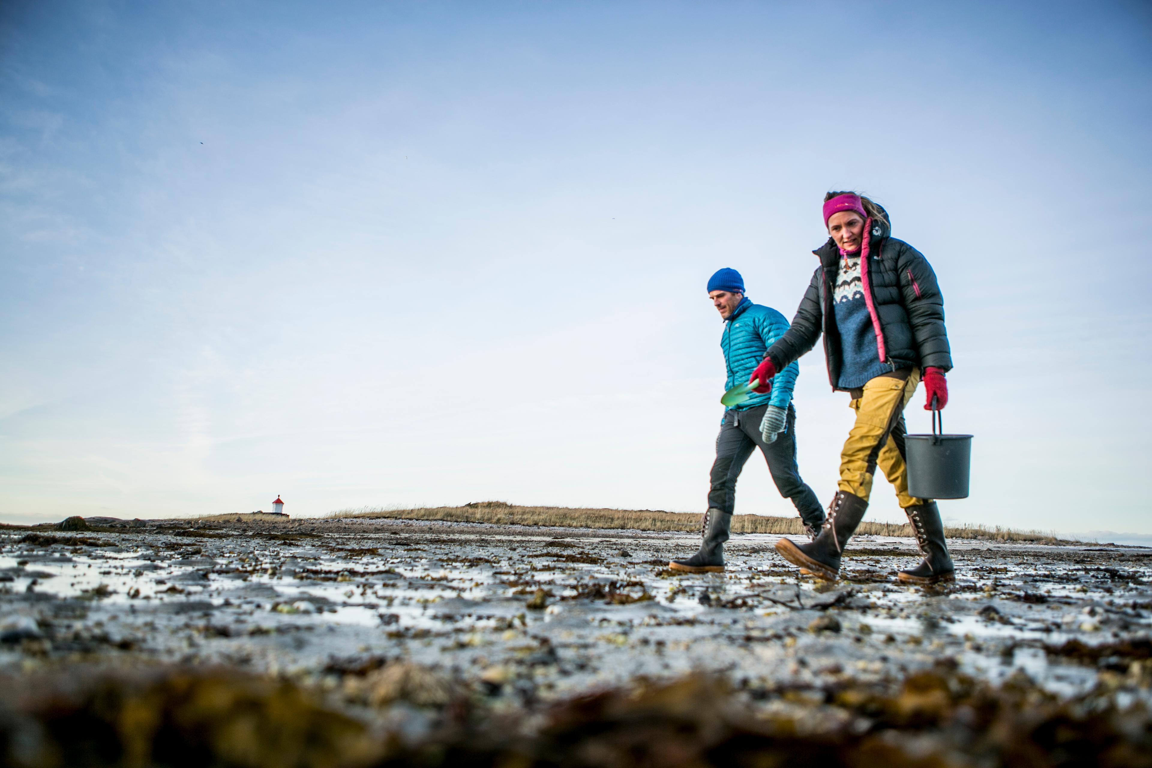 A couple picking cockles on the beach