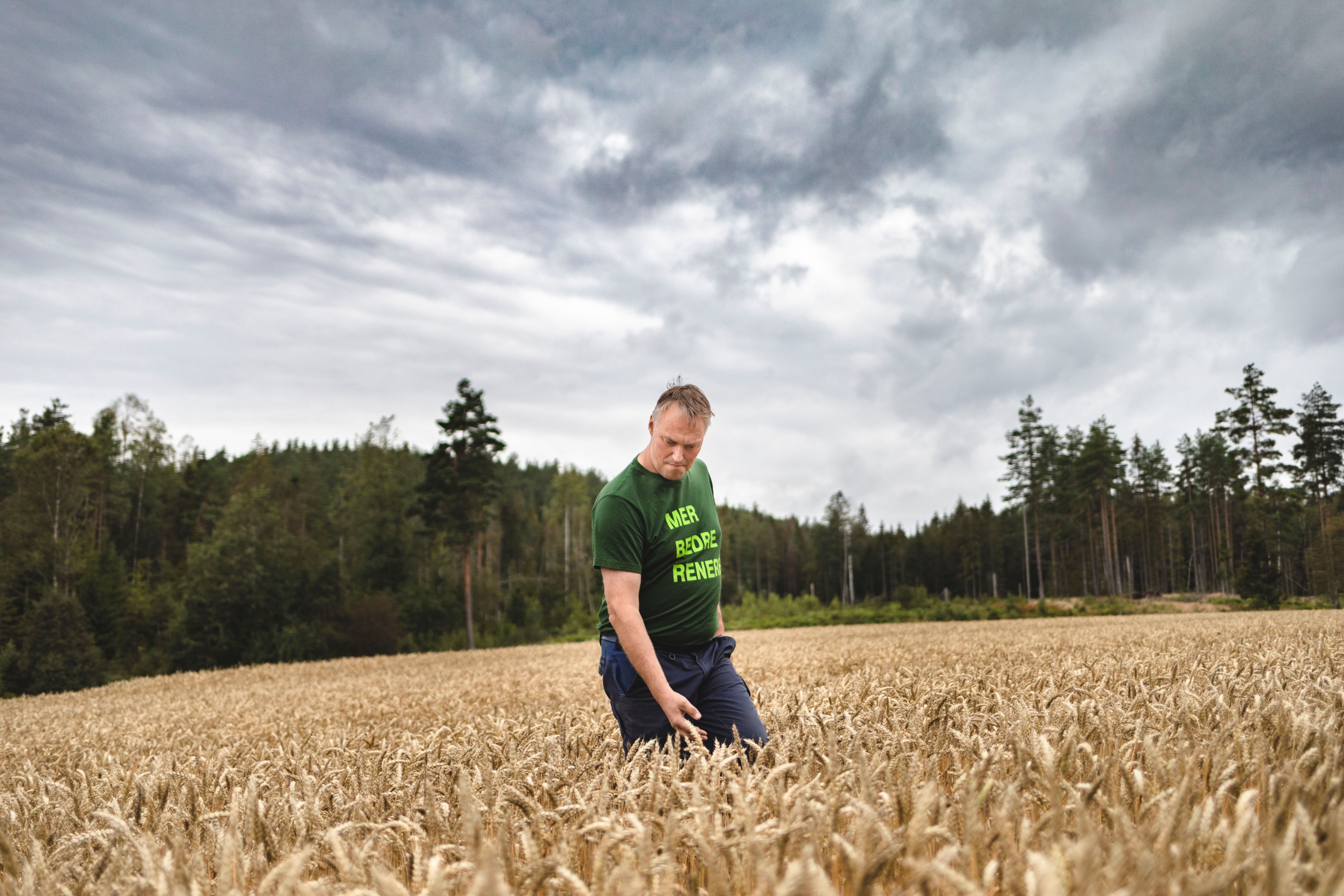A farmer is standing out in the field in Skien in Telemark, Eastern Norway