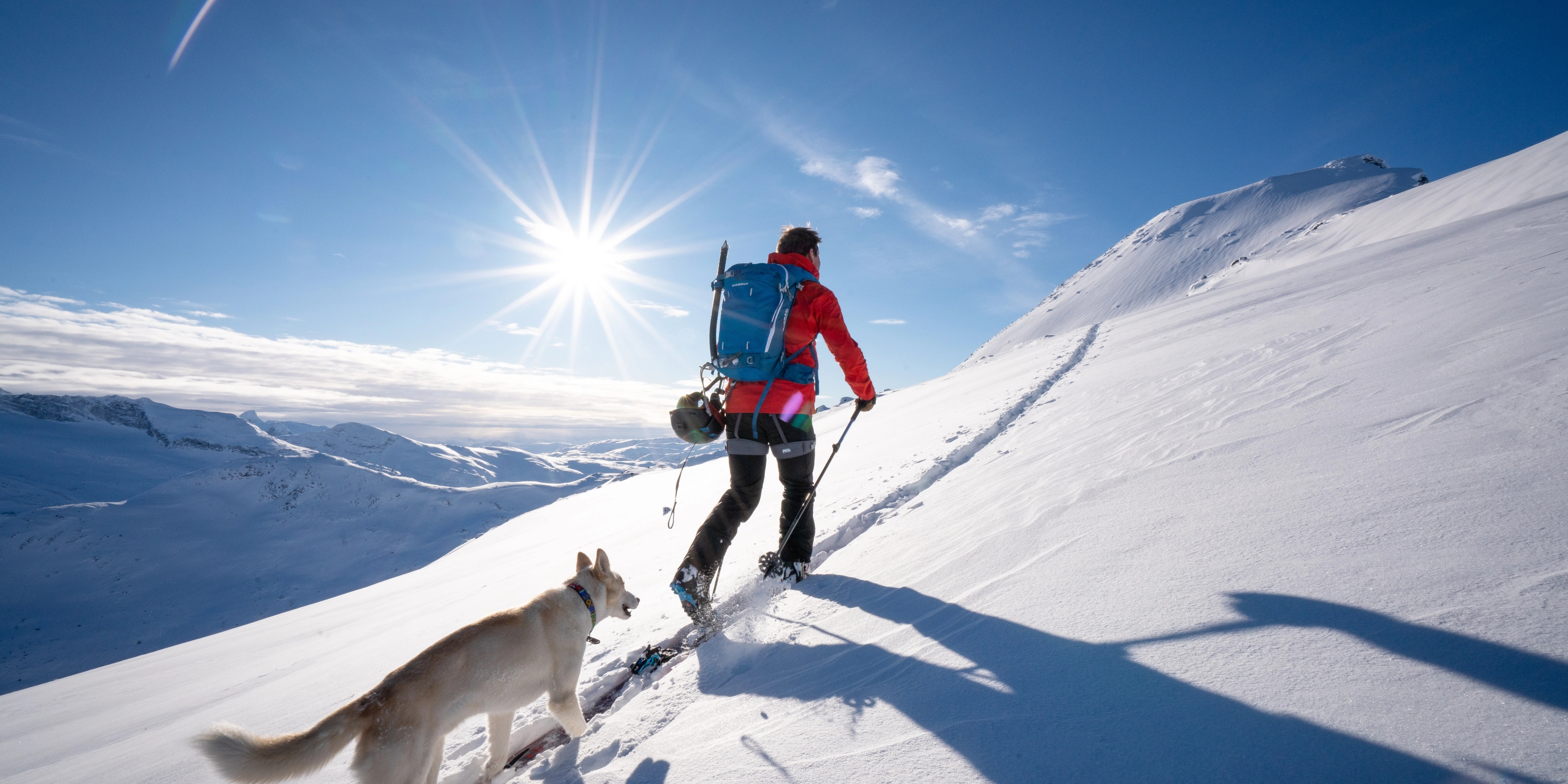 A man ascending a mountain in Jotunheimen on skis accompanied by a dog a sunny winter day. Eastern Norway.