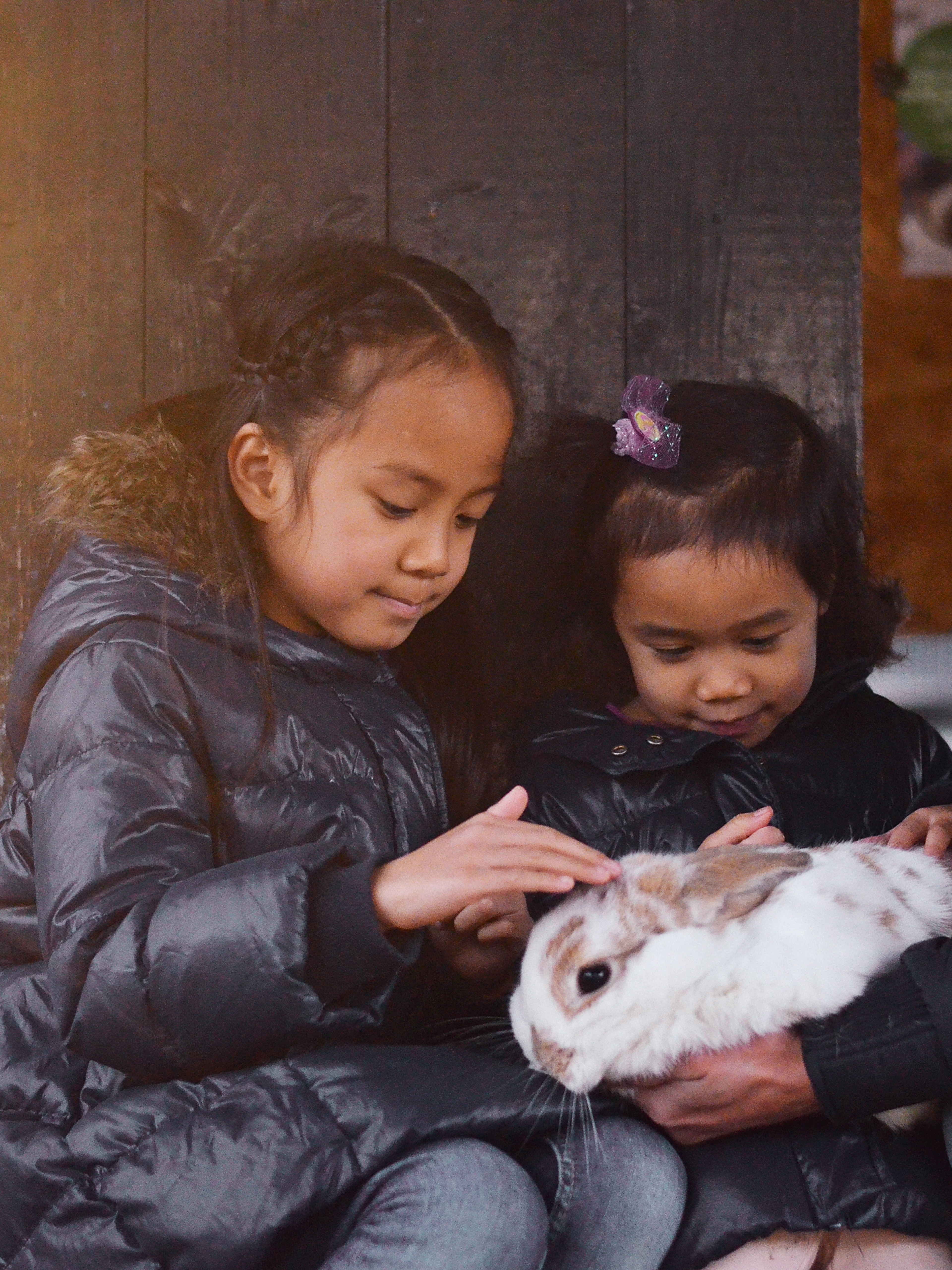 Girls petting rabbit at Ekeberg