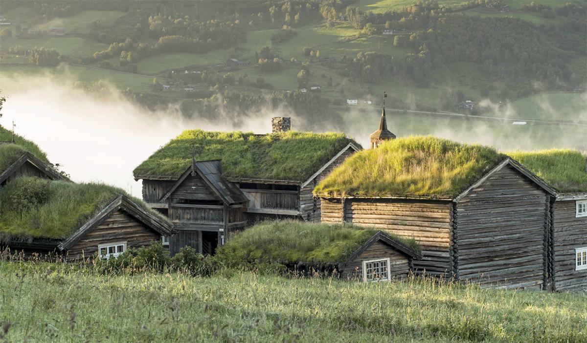 Nordigard Blessom, Vågå