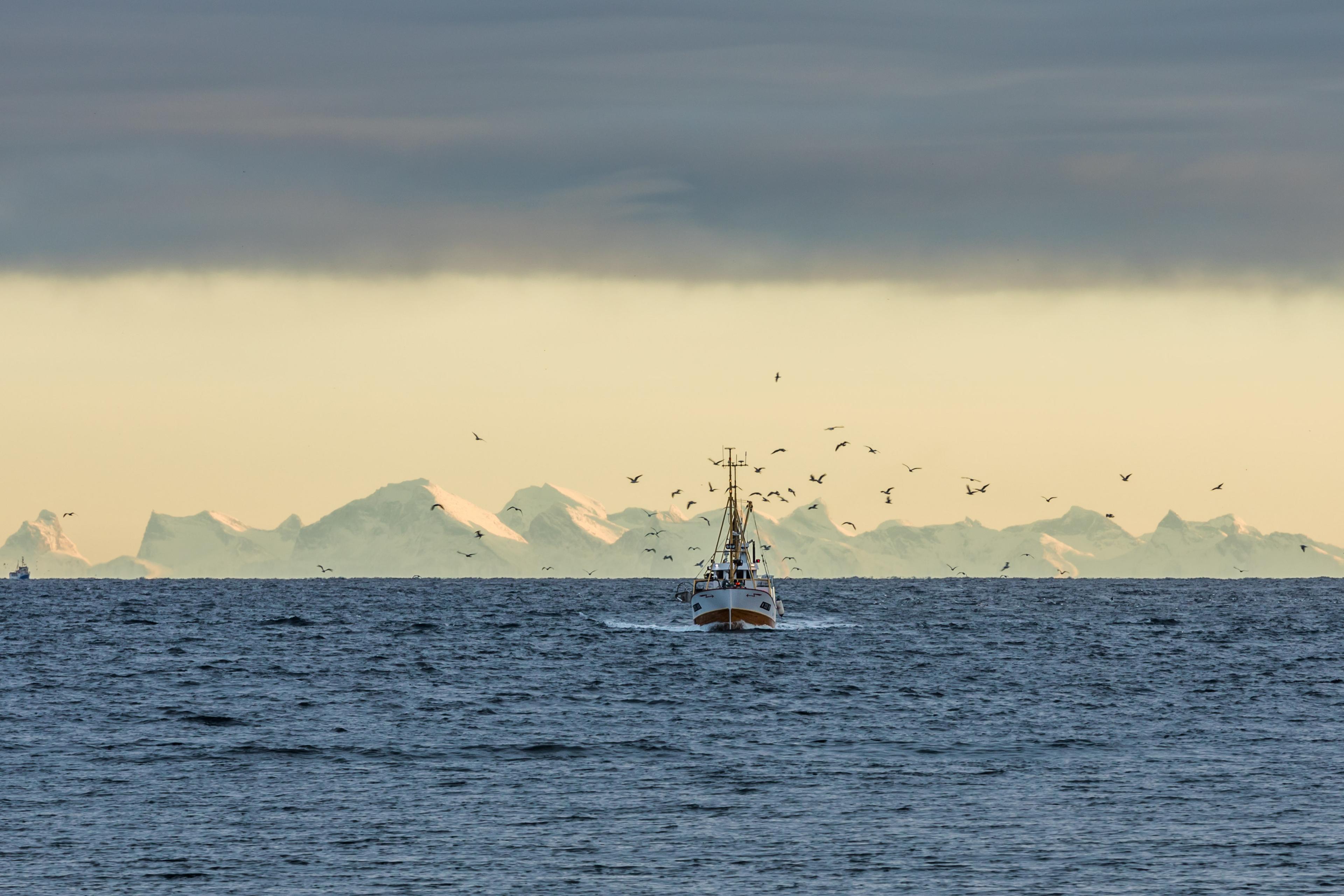 A fishing boat on the sea with snowcapped mountains in the background in Lofoten in Northern Norway