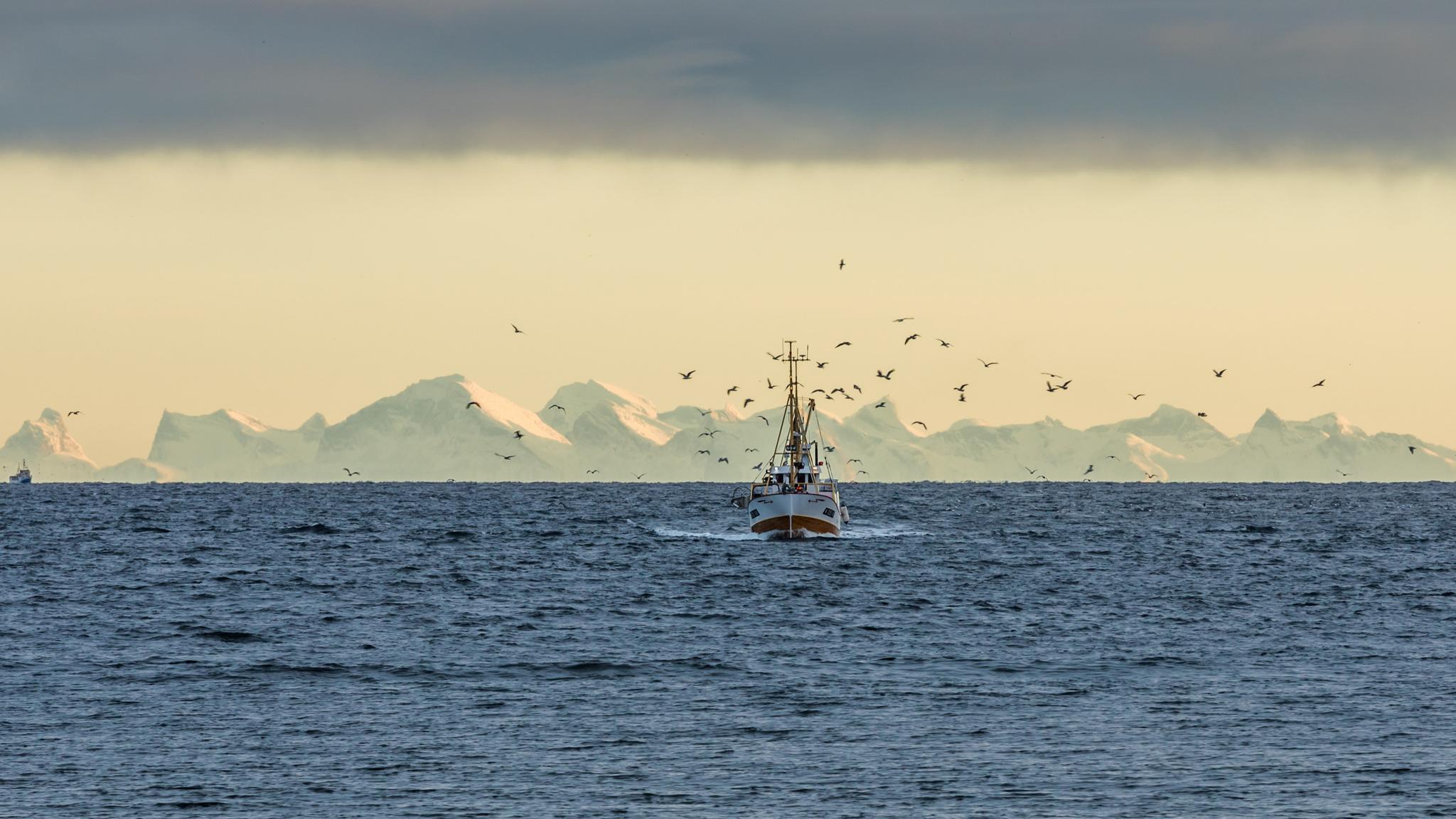 En fiskebåt på havet i Lofoten i Nord-Norge med snøkledde fjell i bakgrunnen