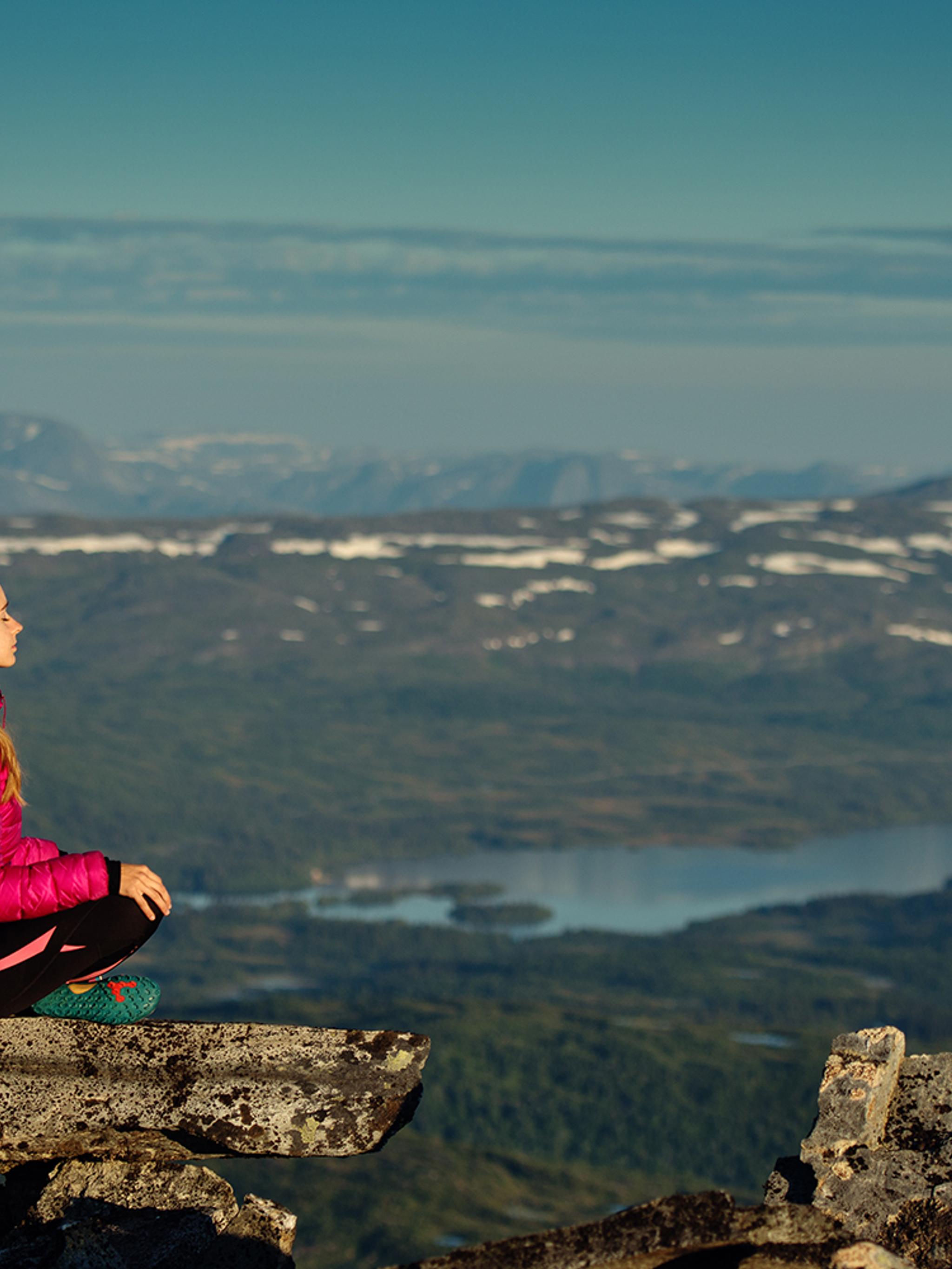 Utsikt från fjället Dærga i Børgefjell nationalpark, Namdalen i Trøndelag