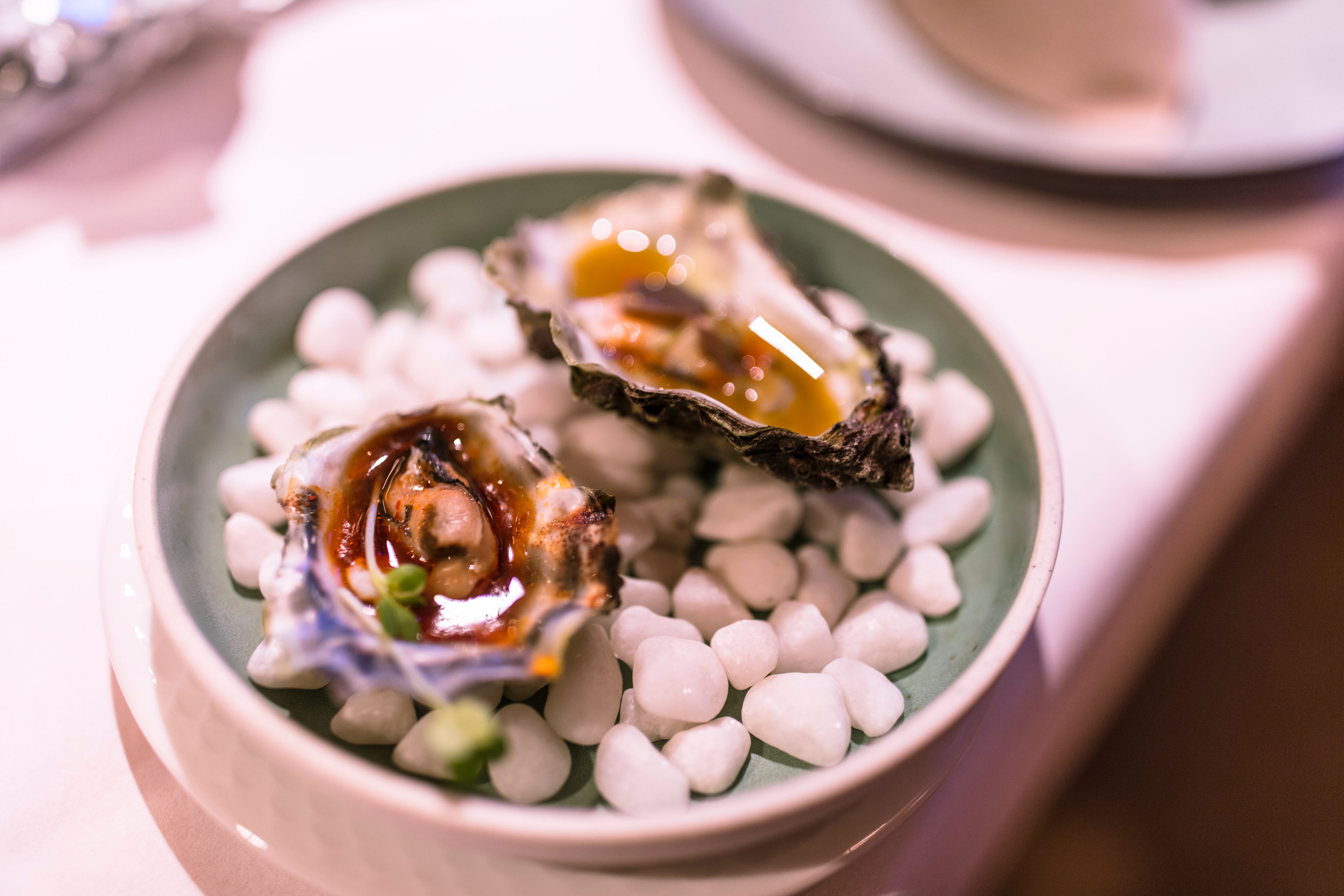 Oysters from Trøndelag decorated on a plate