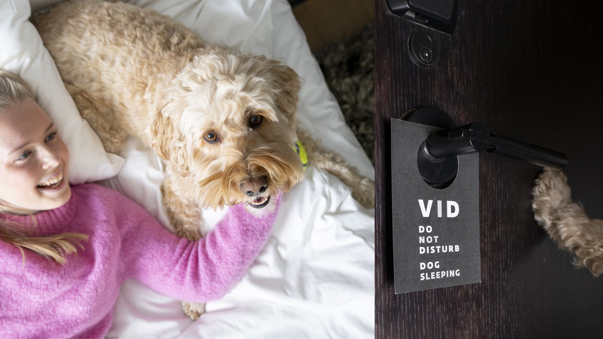 VID (Very important dog) sign at a dog room at The Thief in Oslo, Eastern Norway