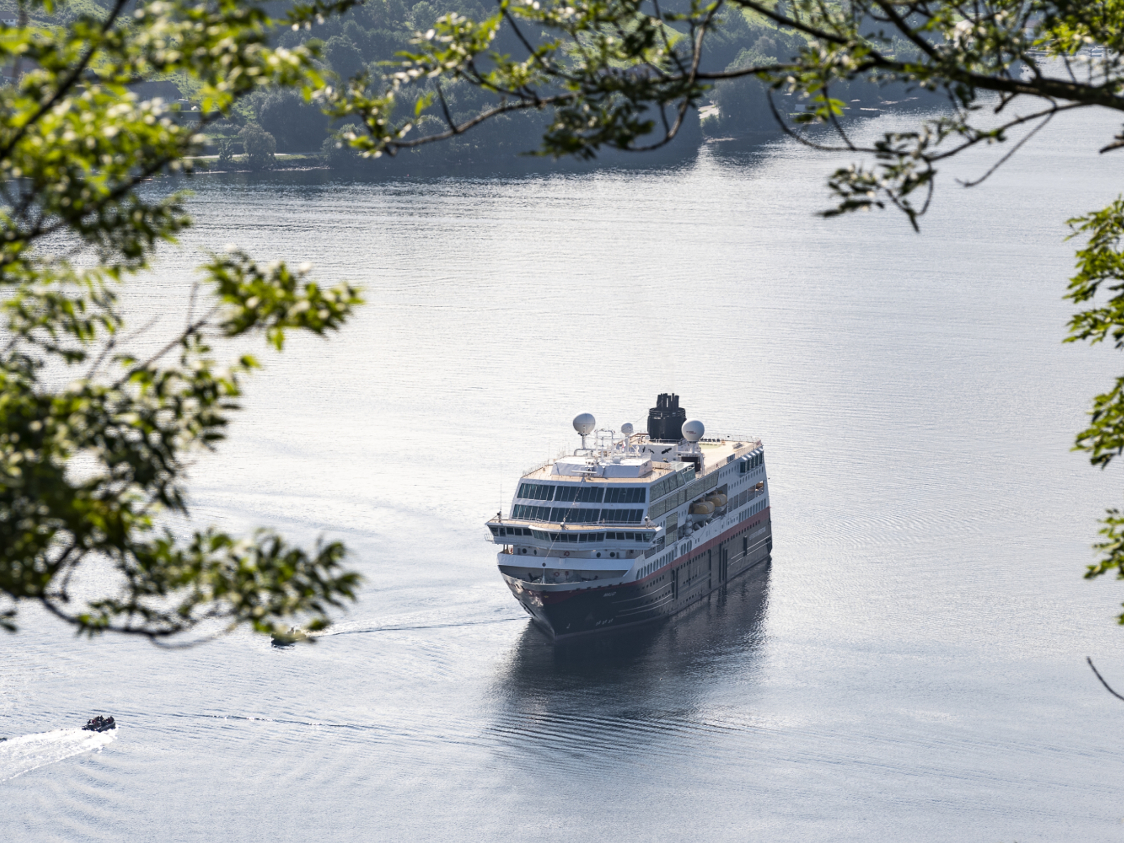 Hurtigruten seen through branches in Geiranger