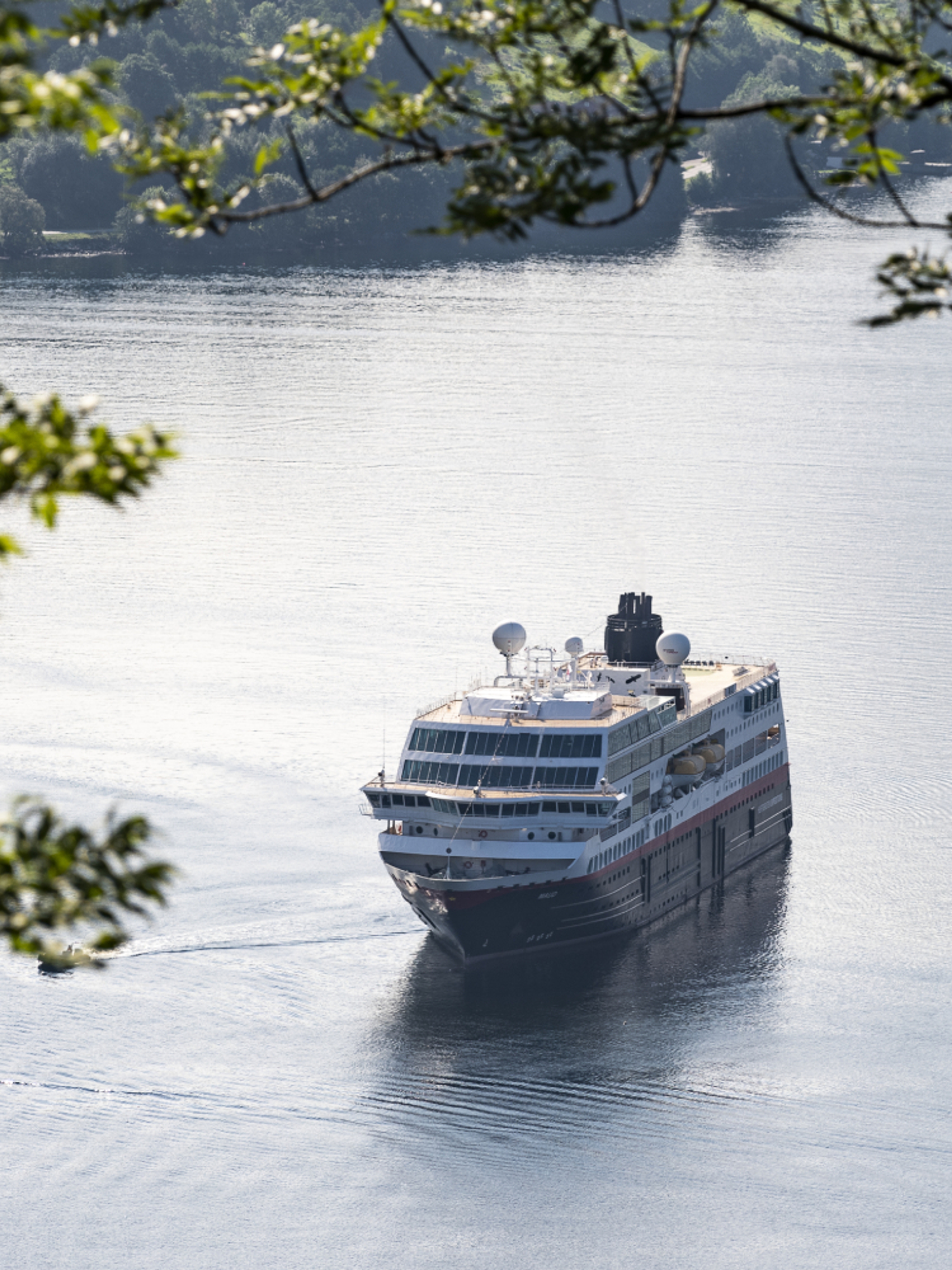 Hurtigruten seen through branches in Geiranger