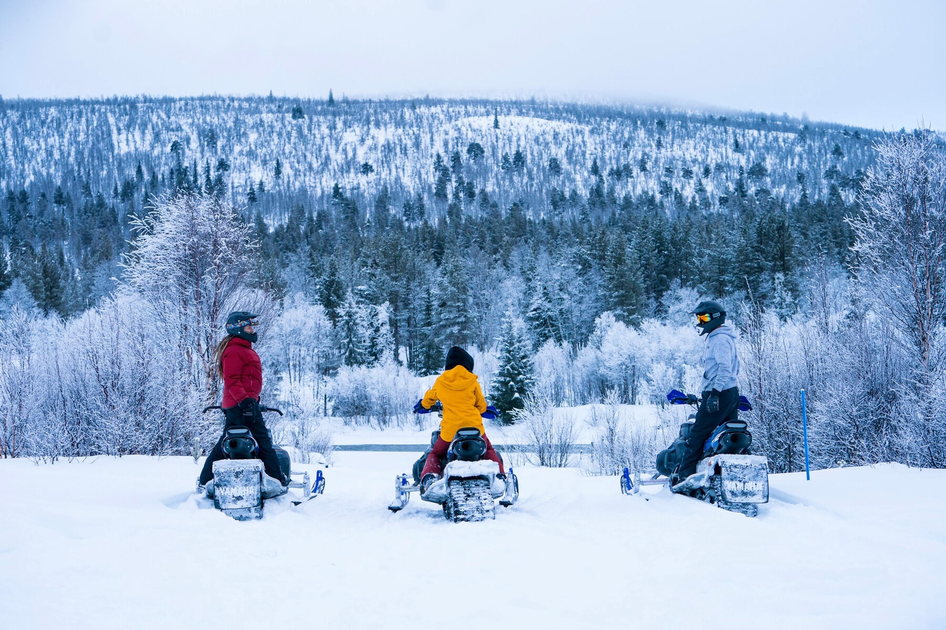 Three persons sitting on snowmobiles looking at the winterforest in Dagali, Geilo, Eastern Norway.