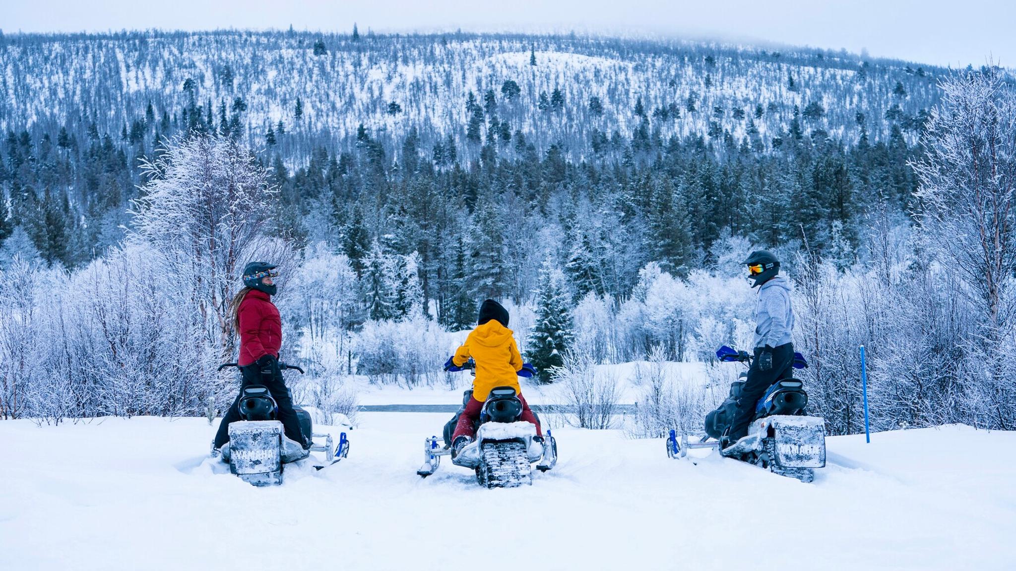 Three persons sitting on snowmobiles looking at the winterforest in Dagali, Geilo, Eastern Norway.